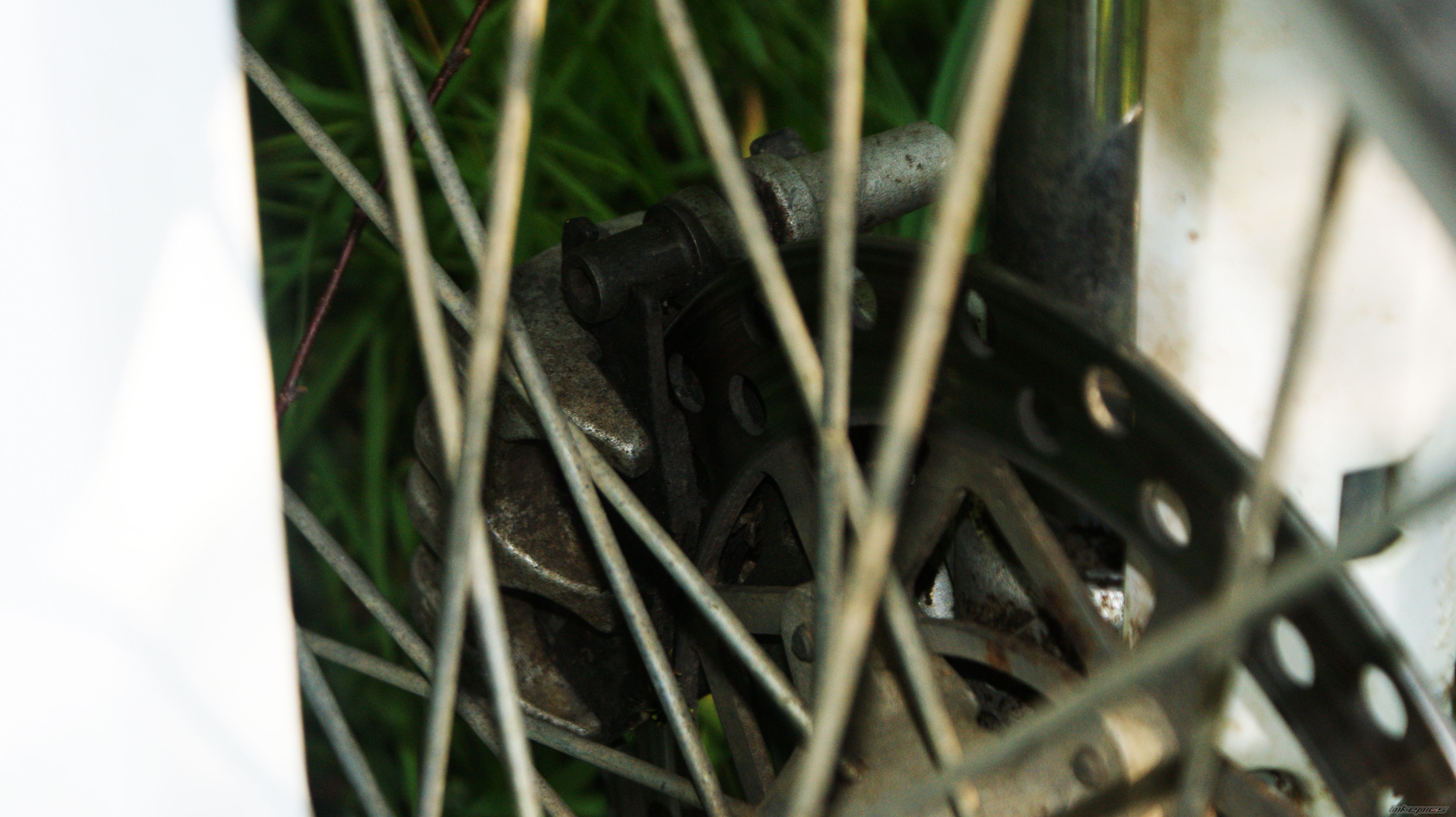 Photo 2681128