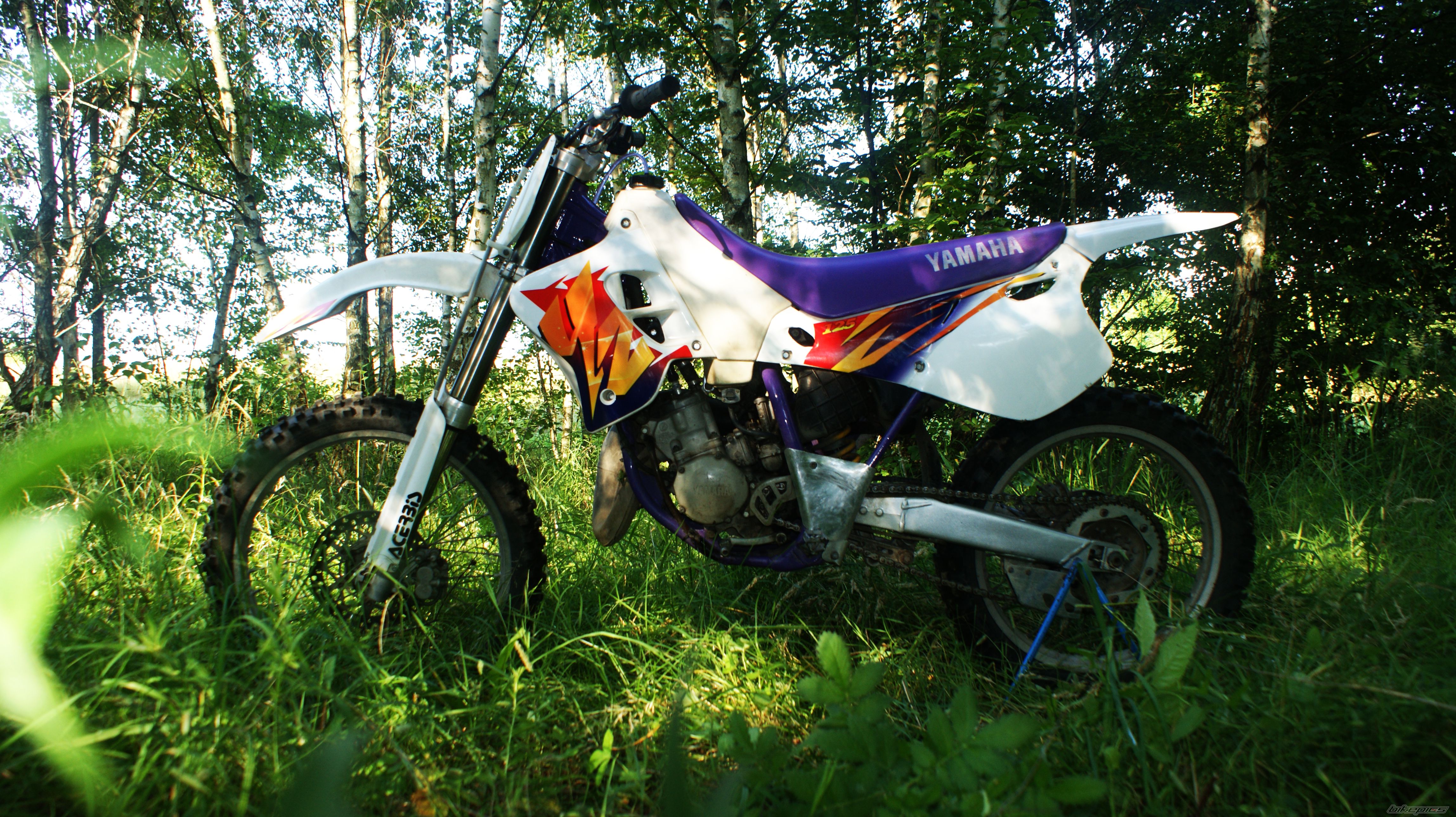 Photo 2681132
