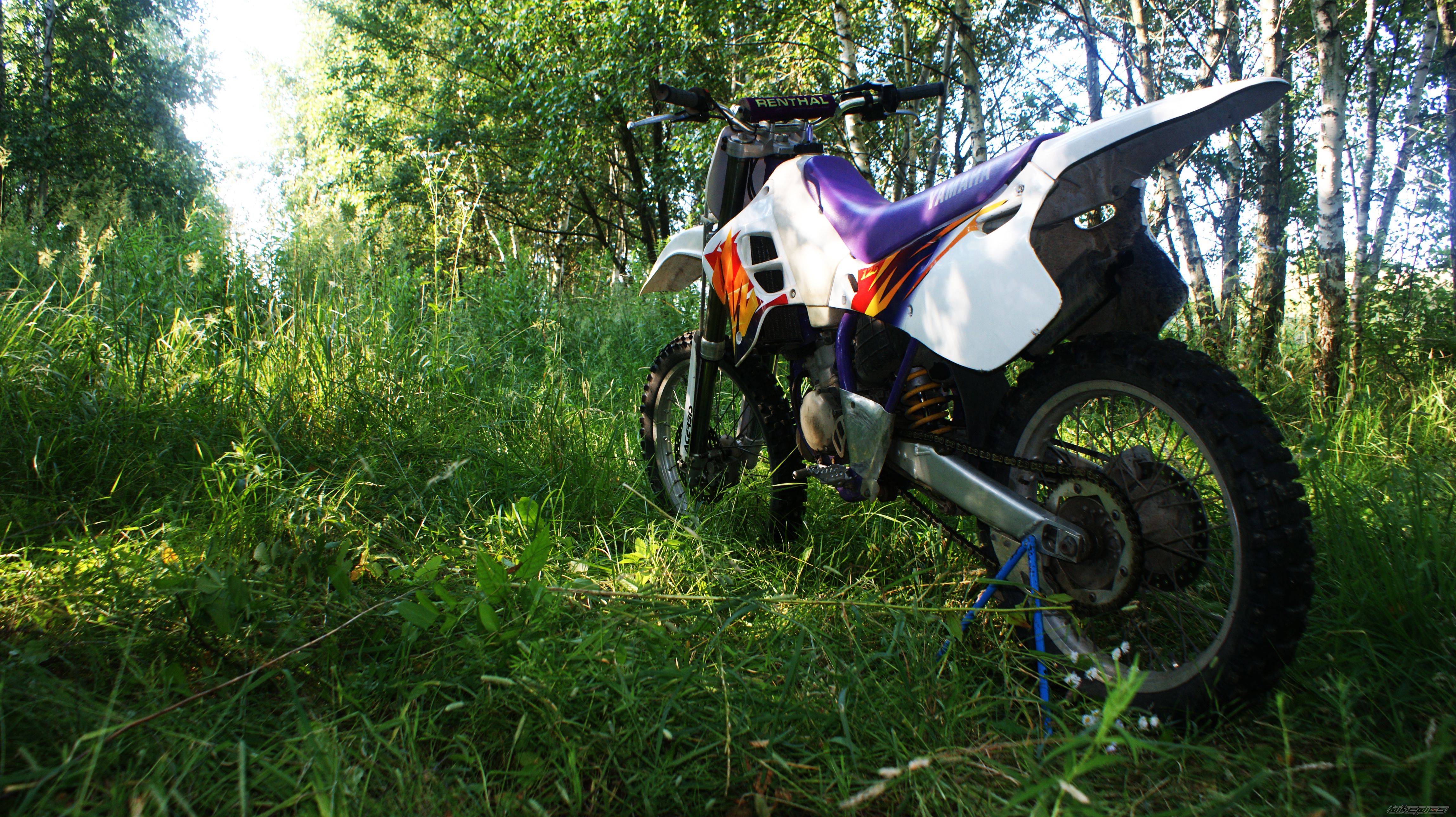 Photo 2681134