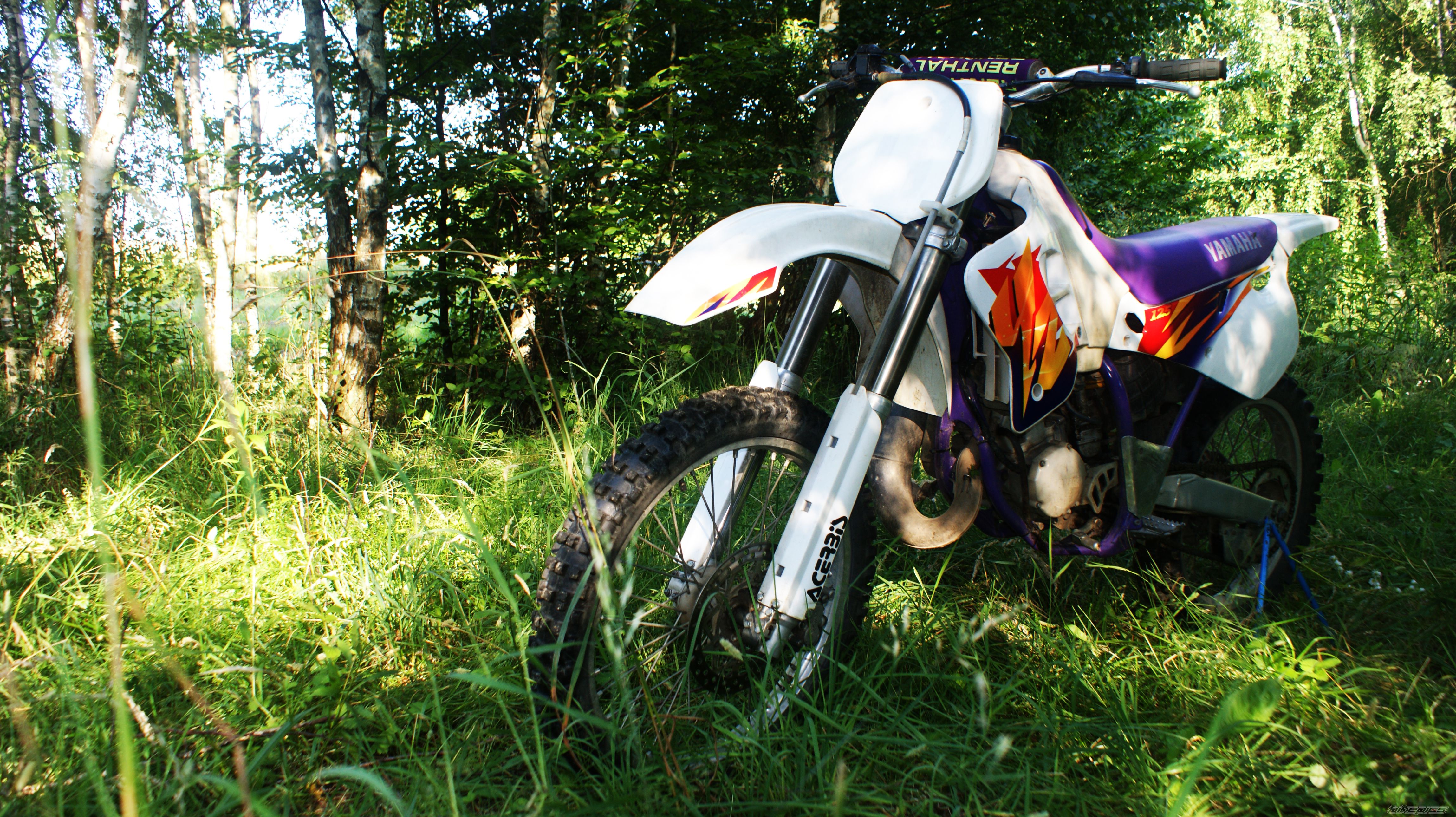 Photo 2681135