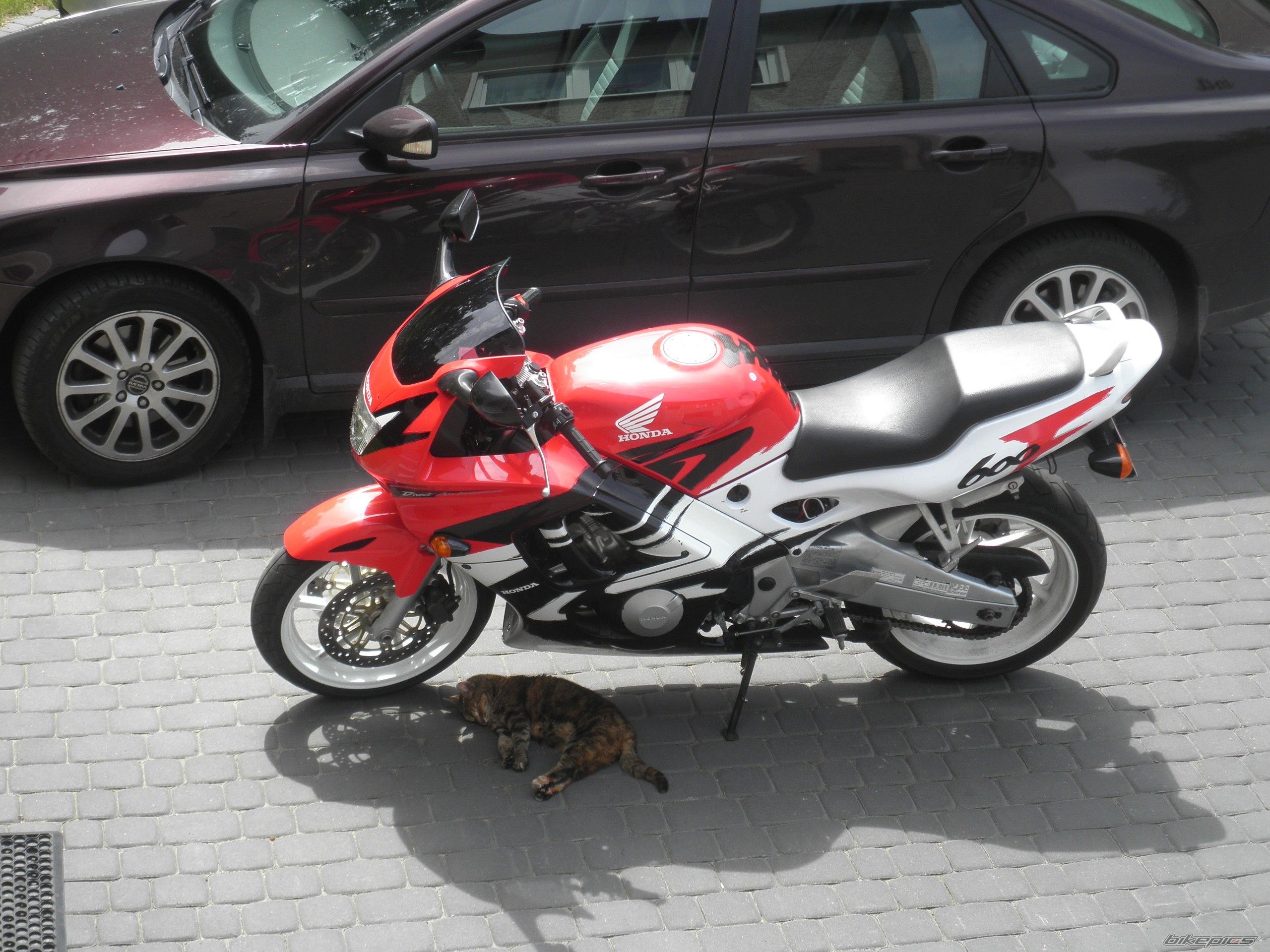 Photo 2681278