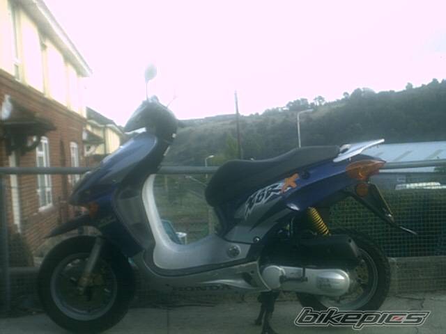 Photo 268130