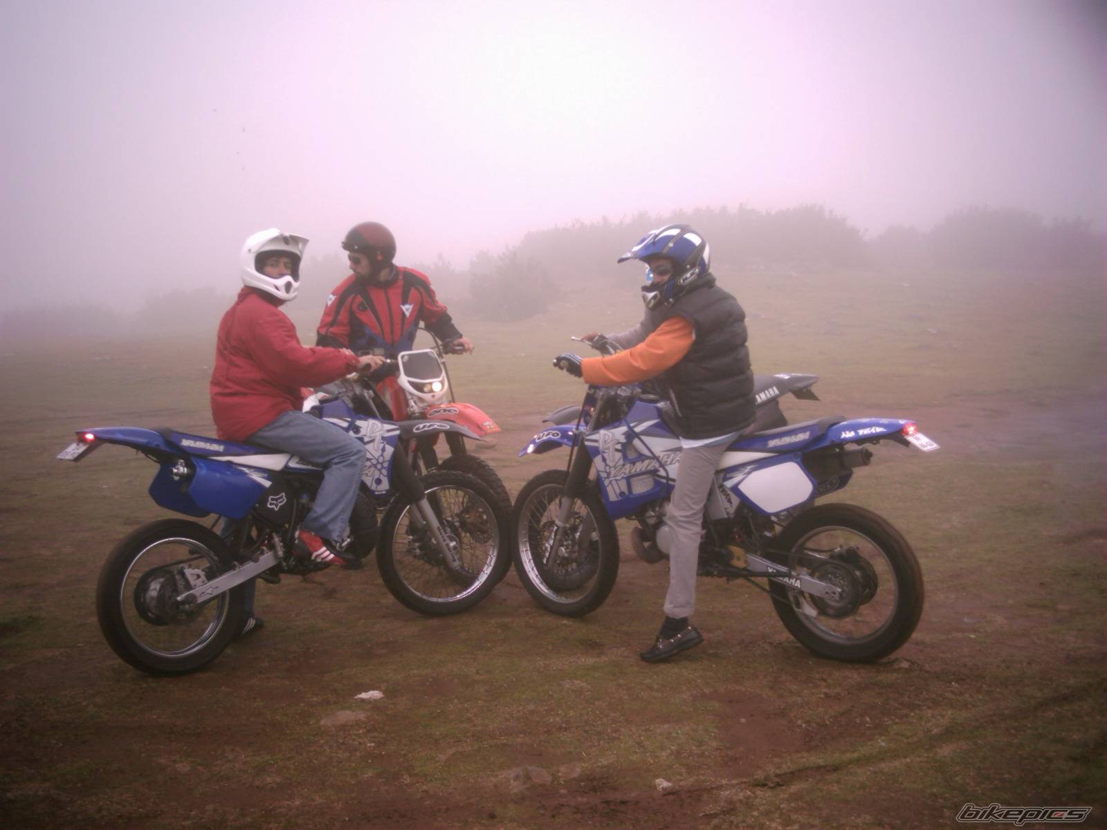 Photo 268132