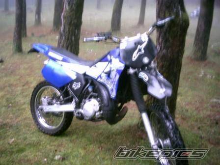 Photo 268133