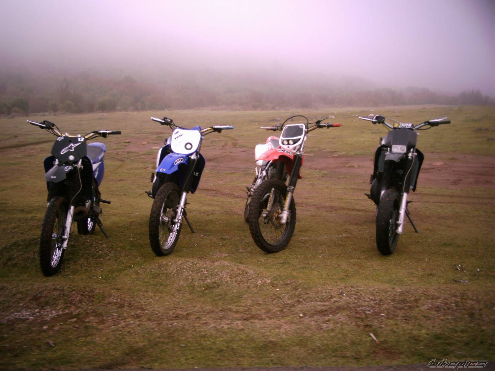 Photo 268135