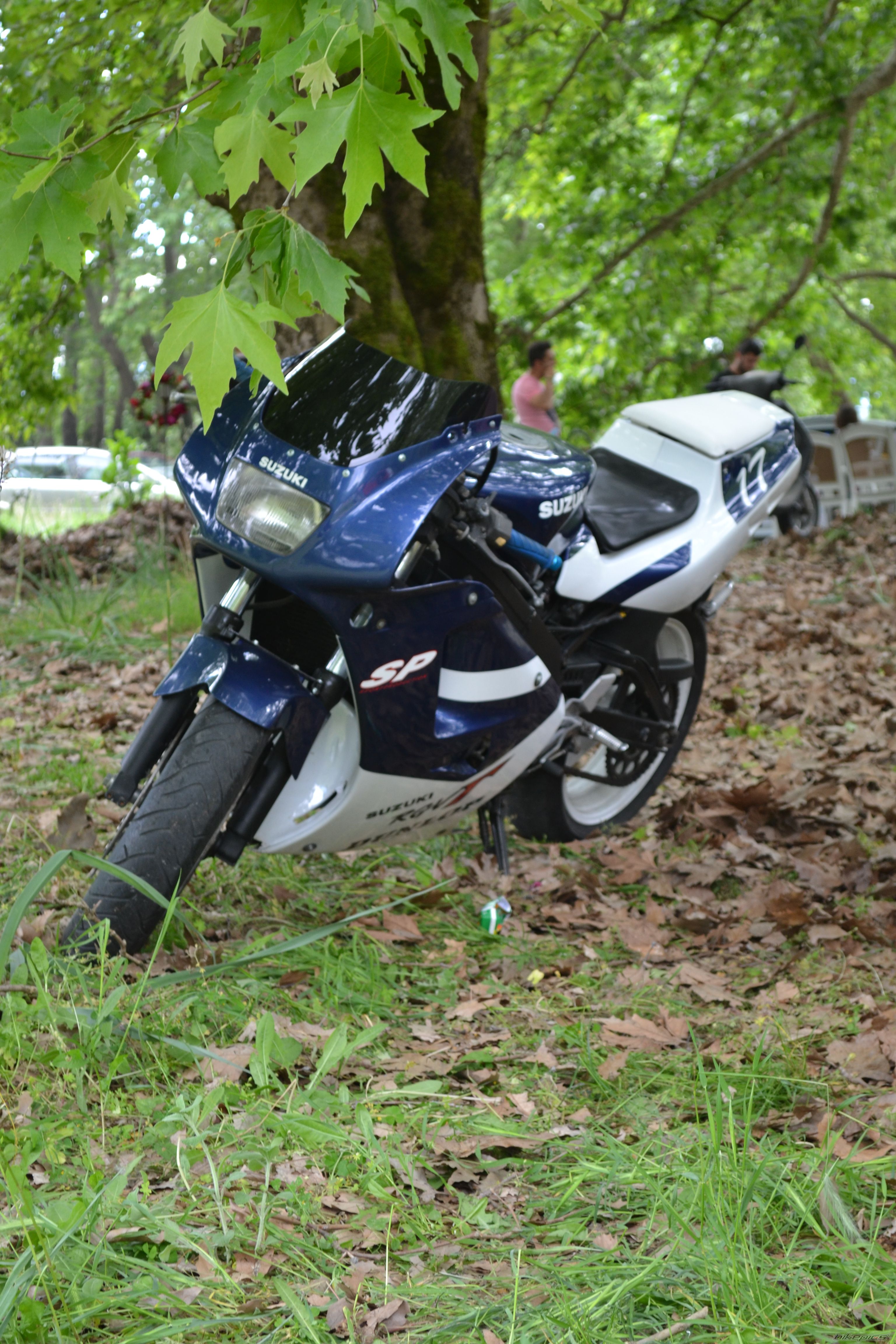 Photo 2681351