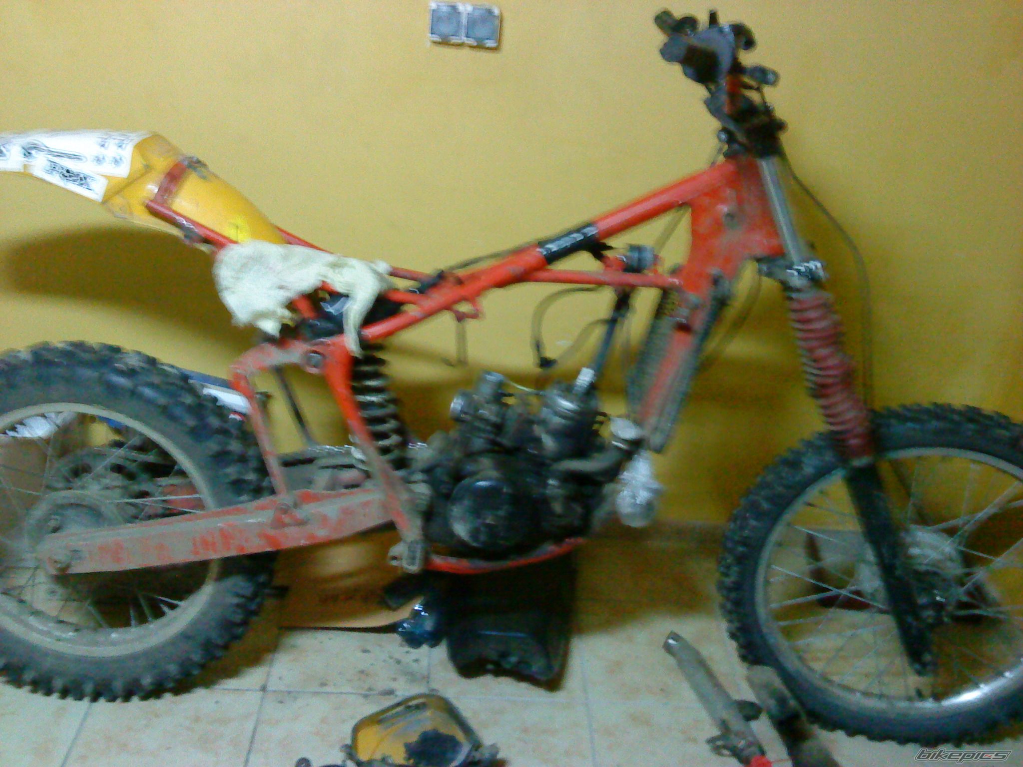 Photo 2681352