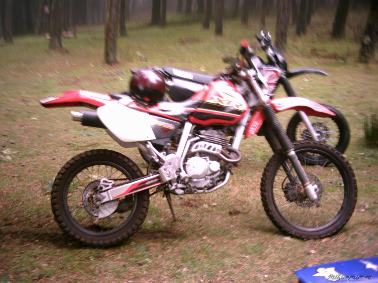 Photo 268141