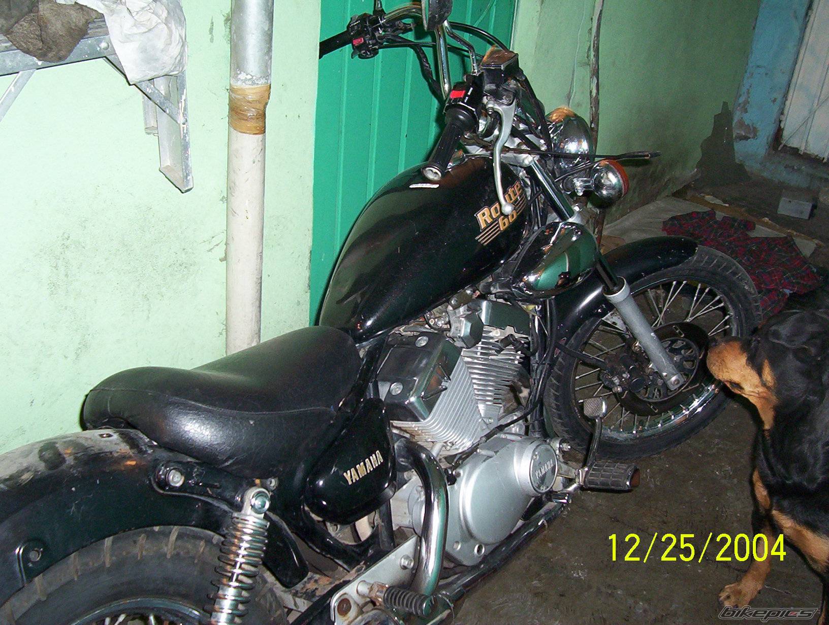 Photo 268145