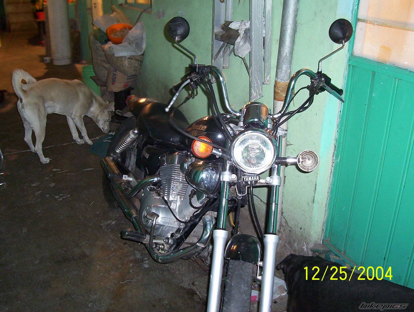 Photo 268146