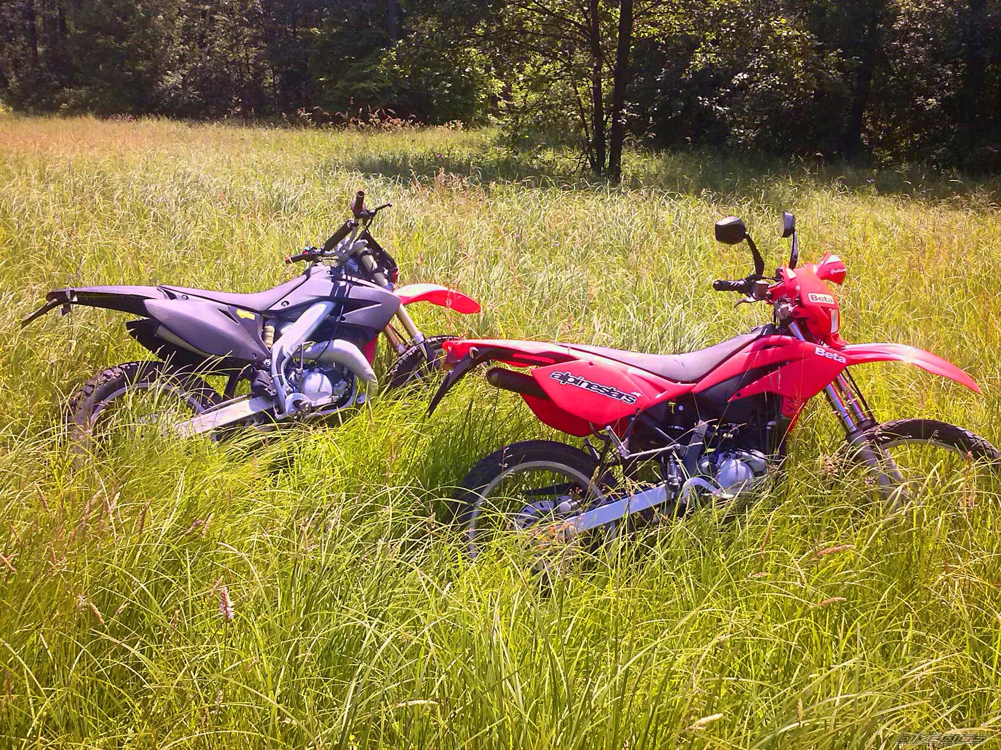 Photo 2681579