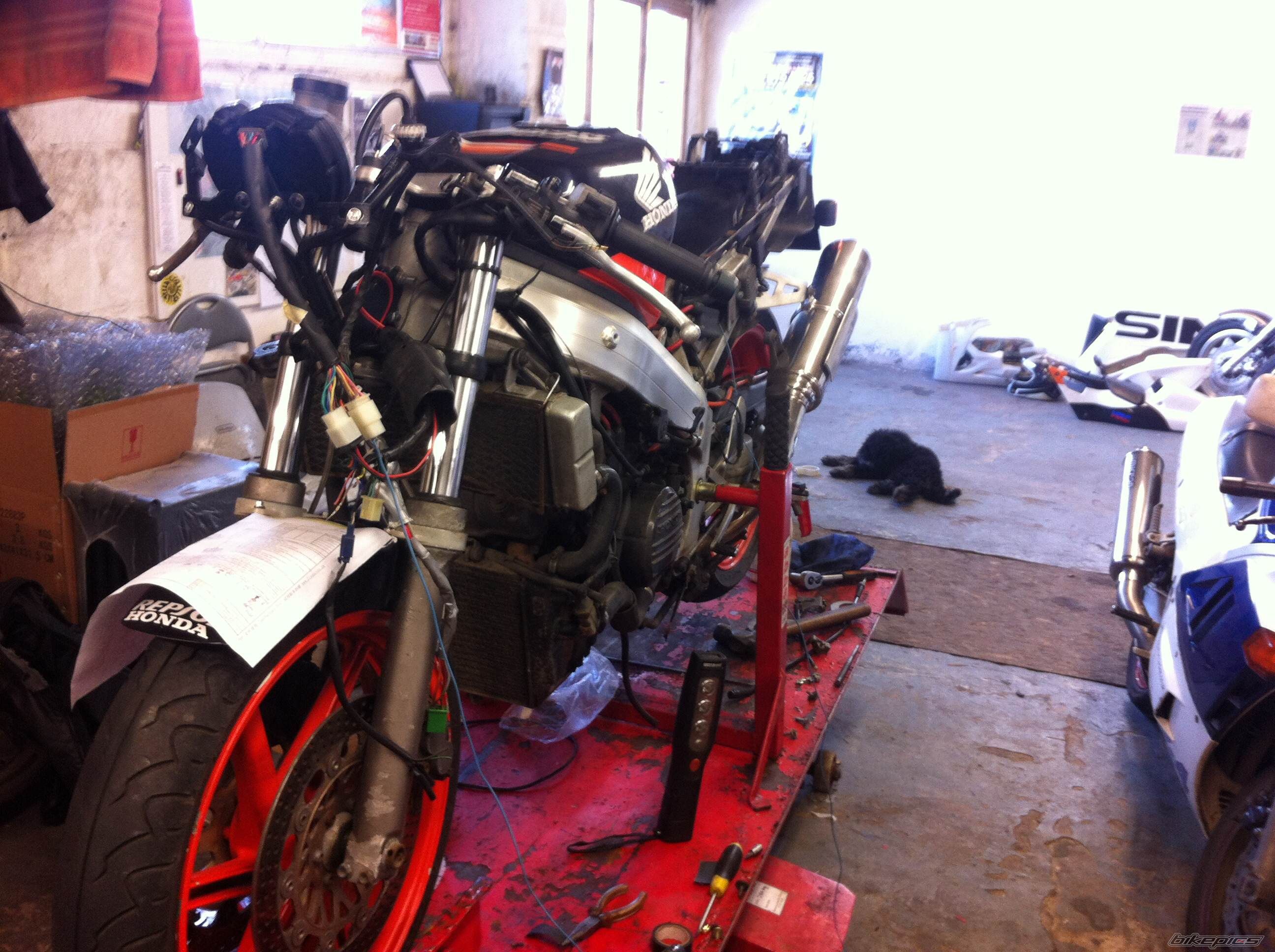 Photo 2682029