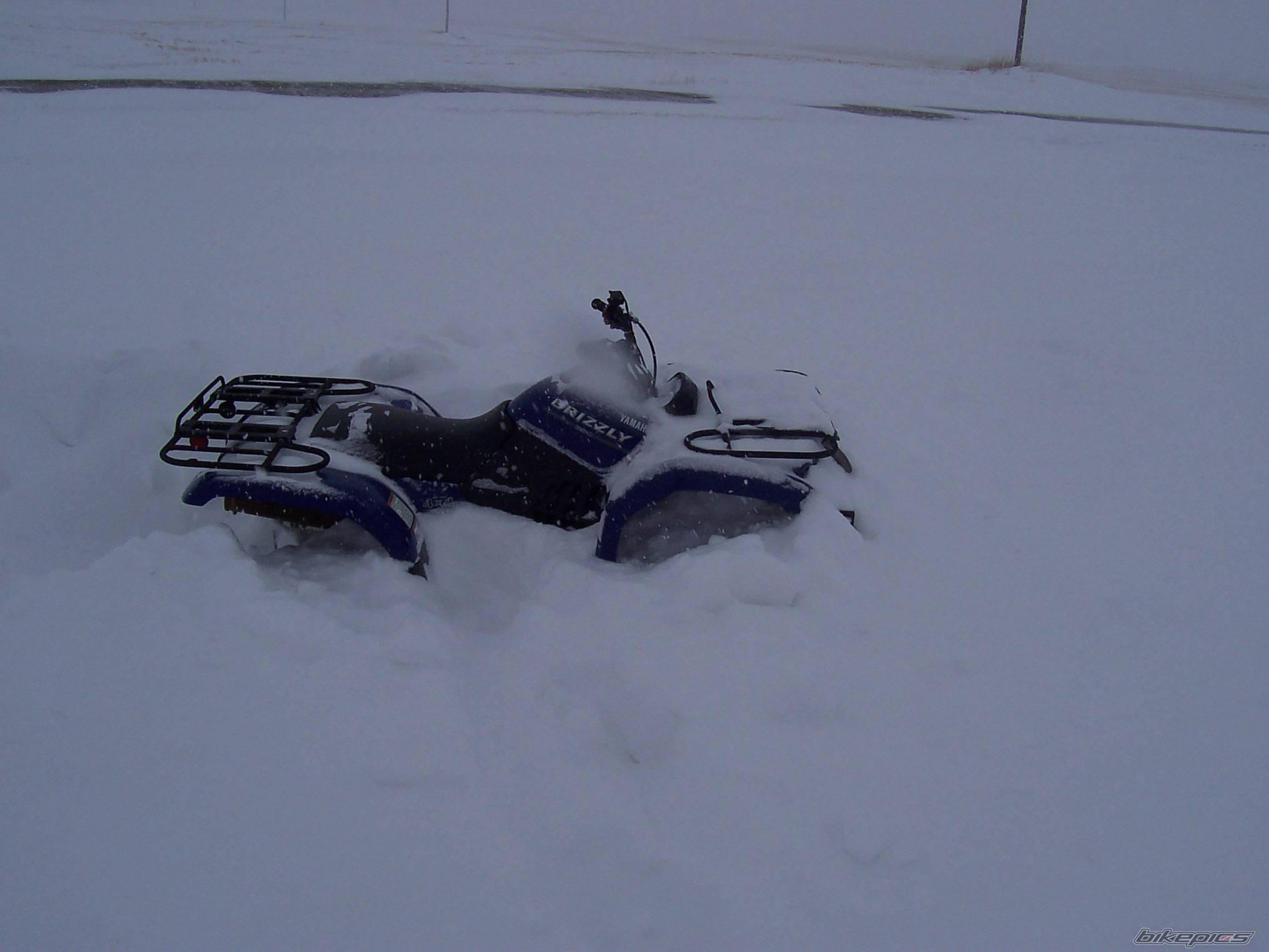 Photo 268213
