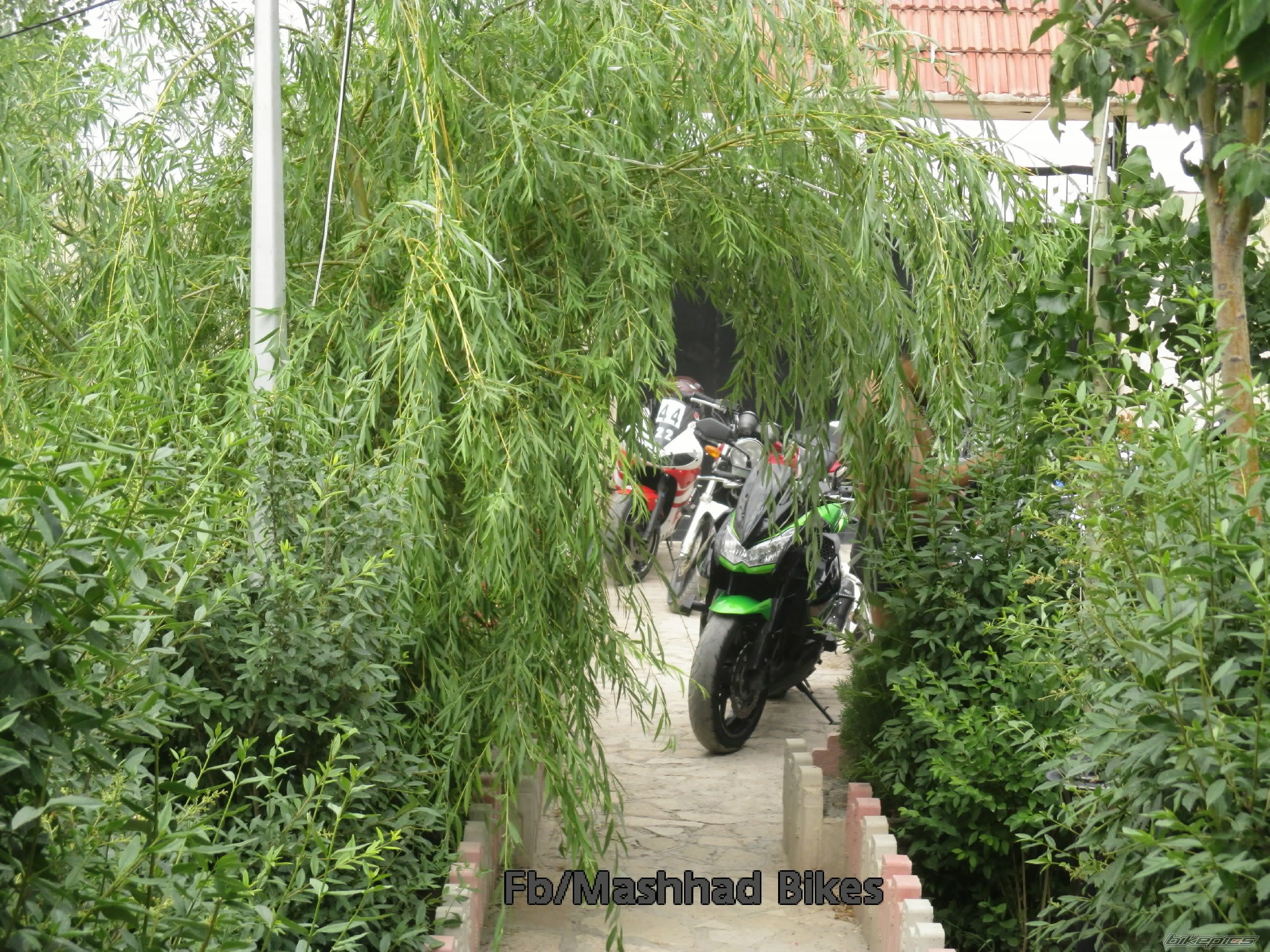 Photo 2682186