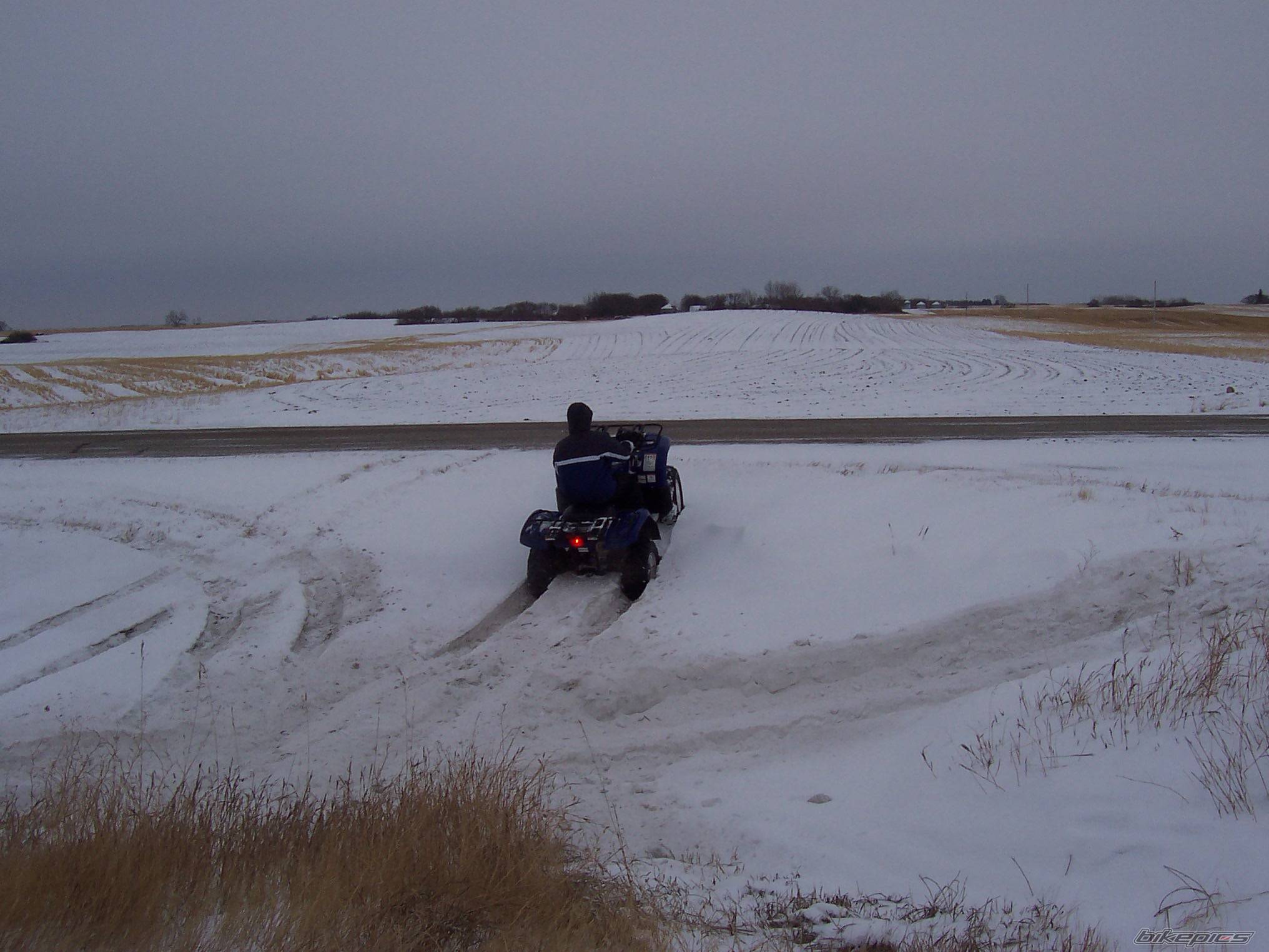 Photo 268224