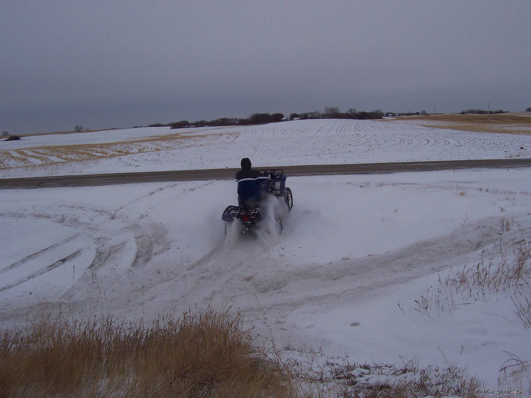 Photo 268227