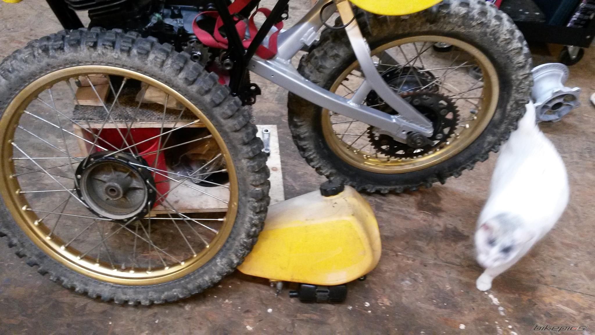 Bike Photo 2682325