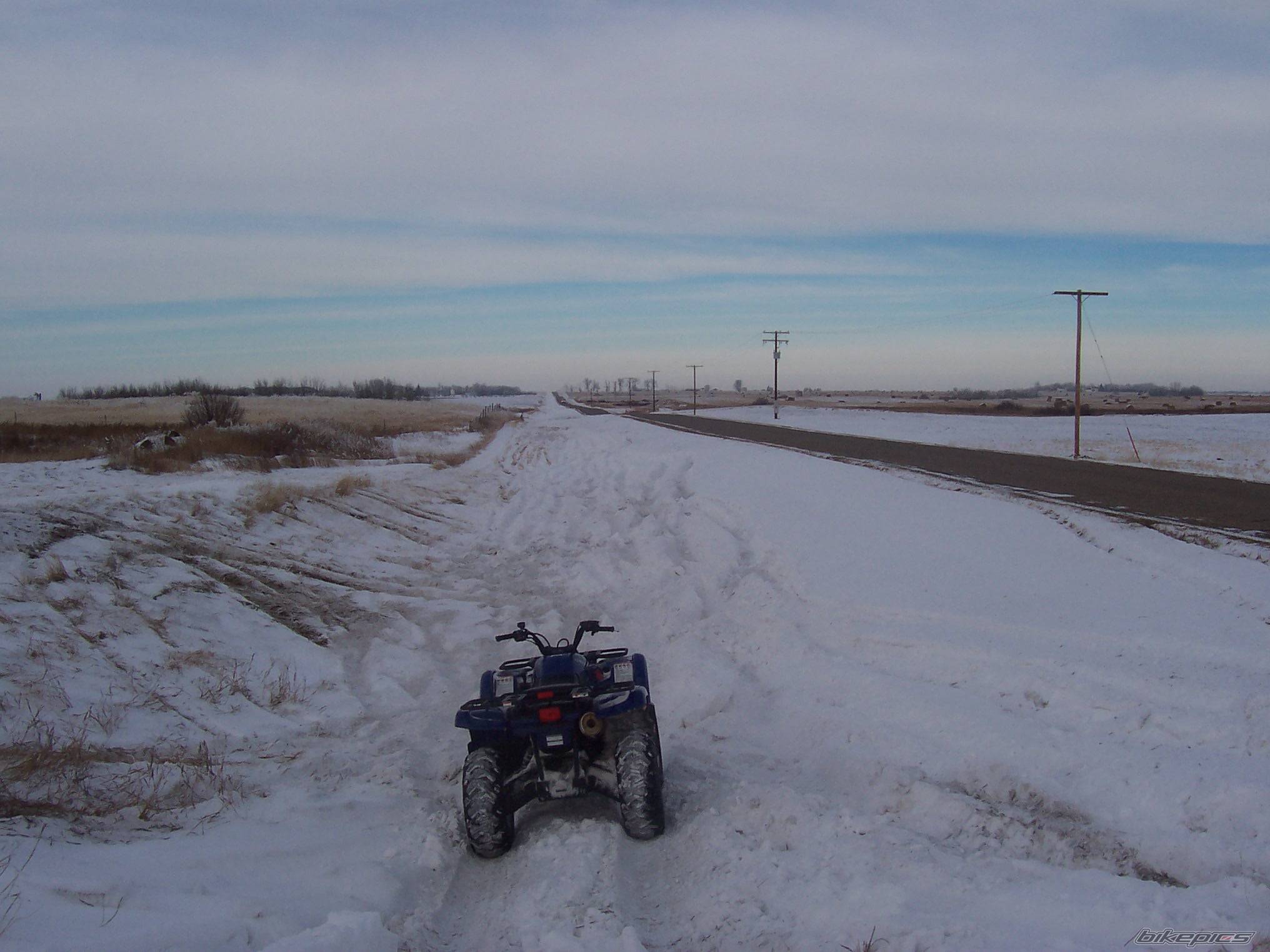 Photo 268233