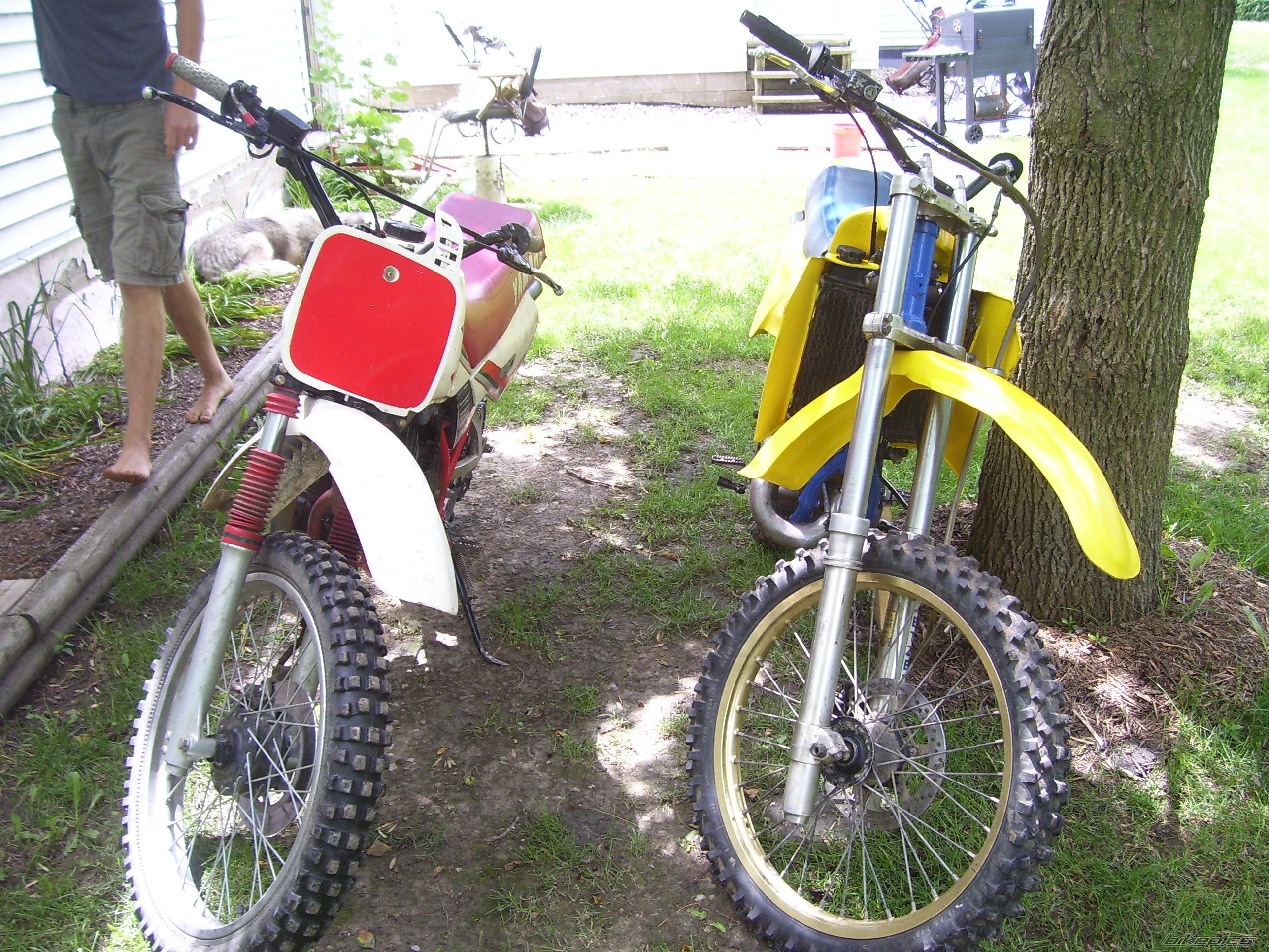 Photo 2683124