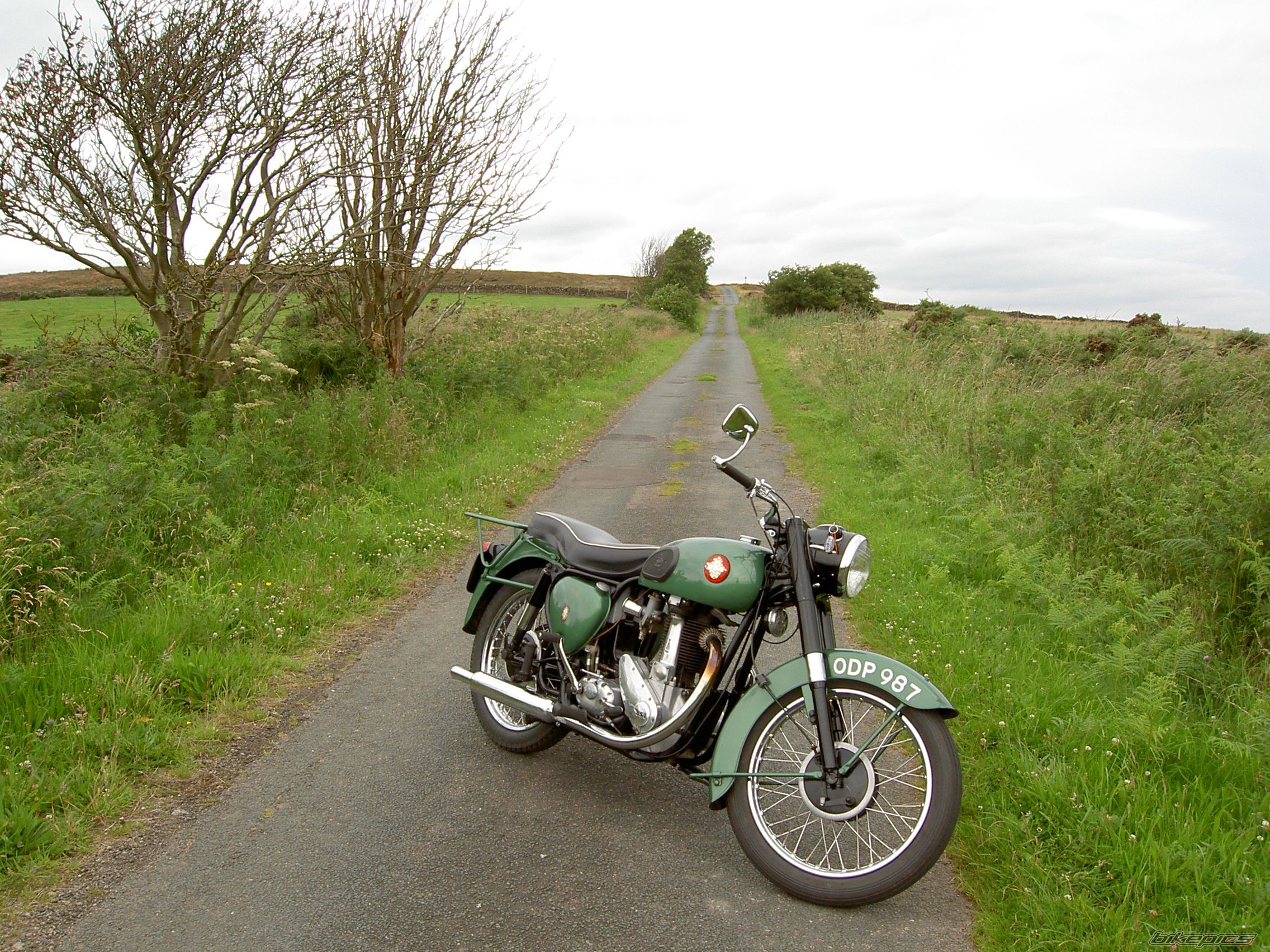 Photo 2683254