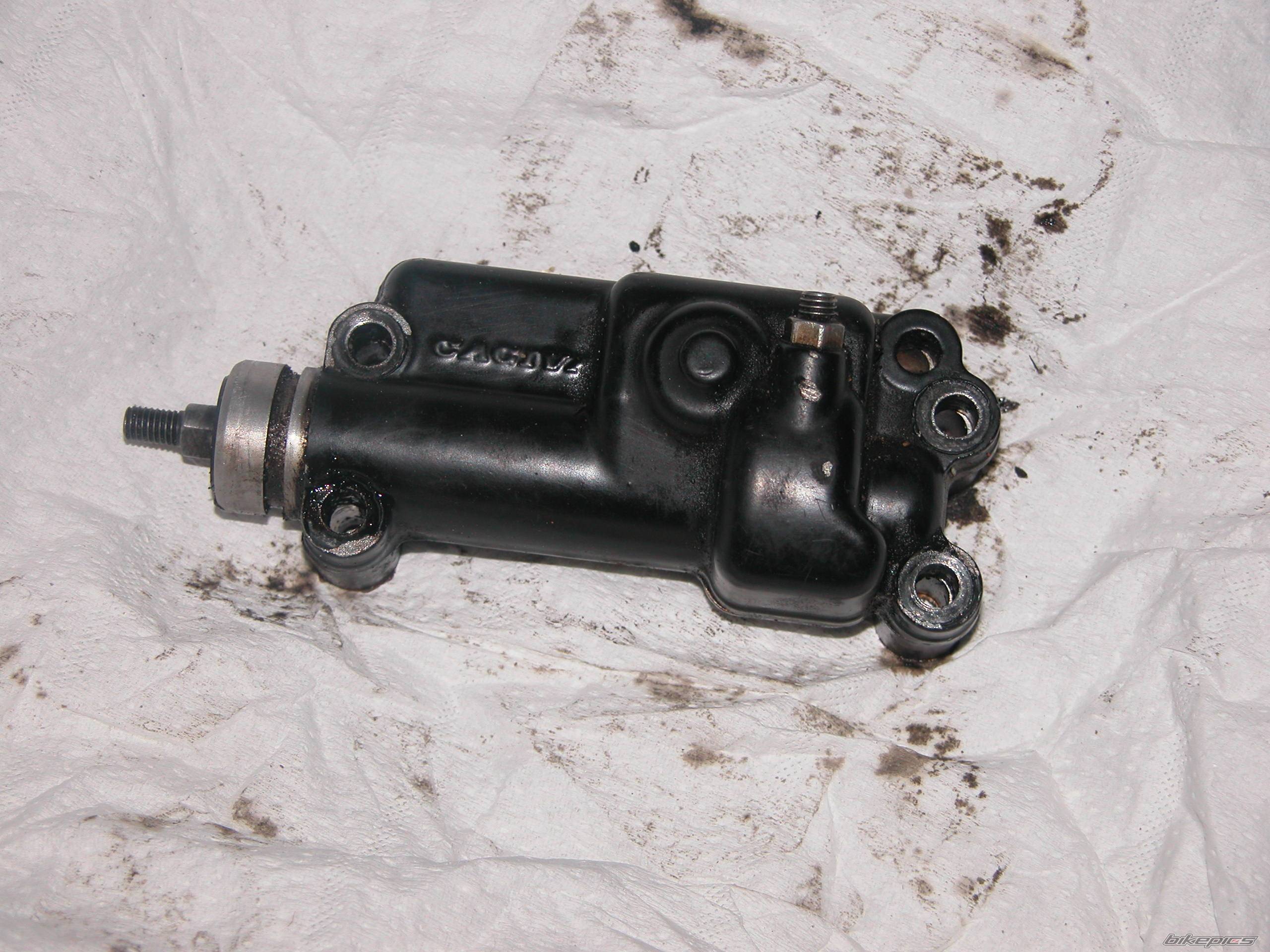 Photo 268329
