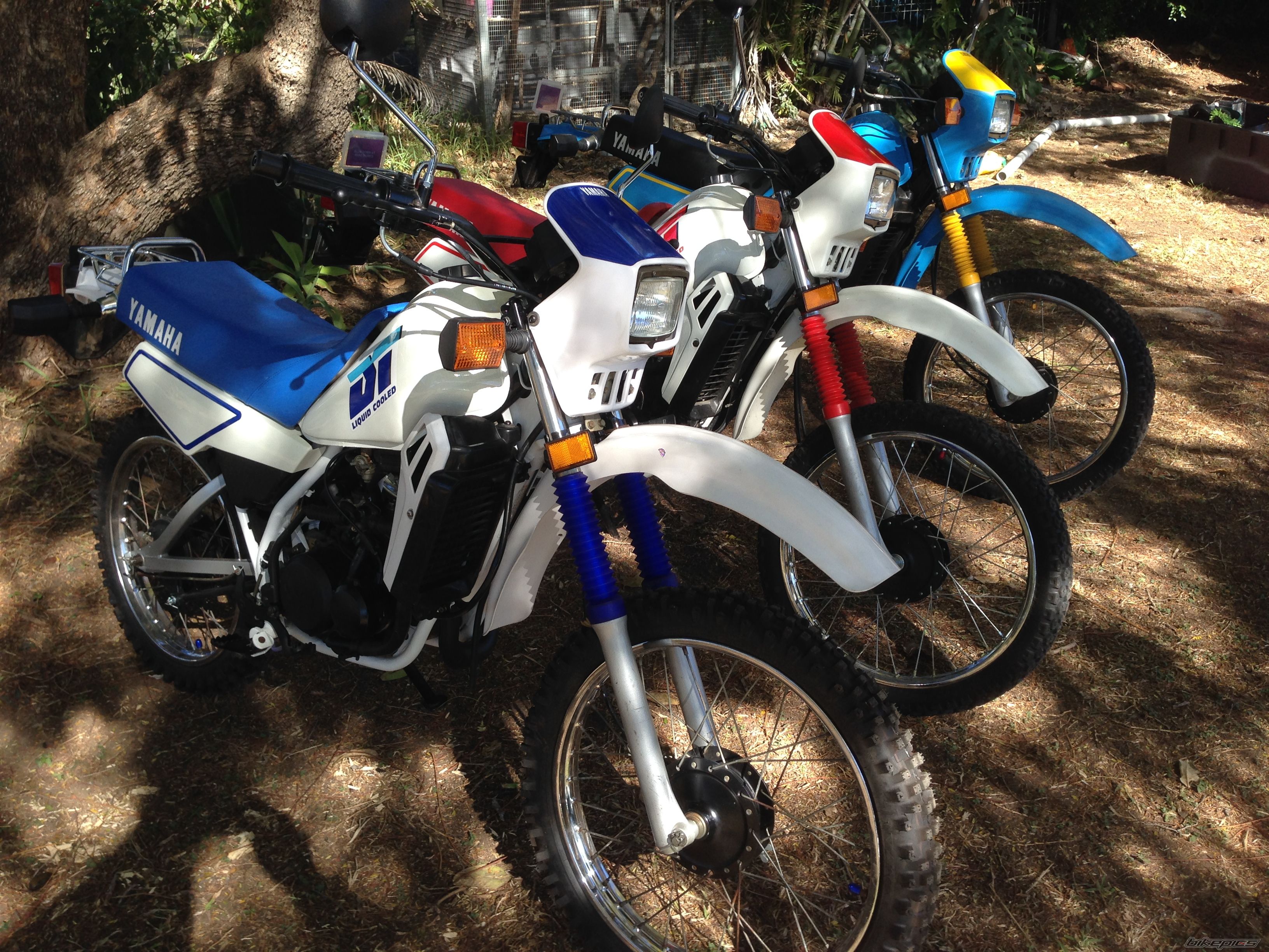 Photo 2683494