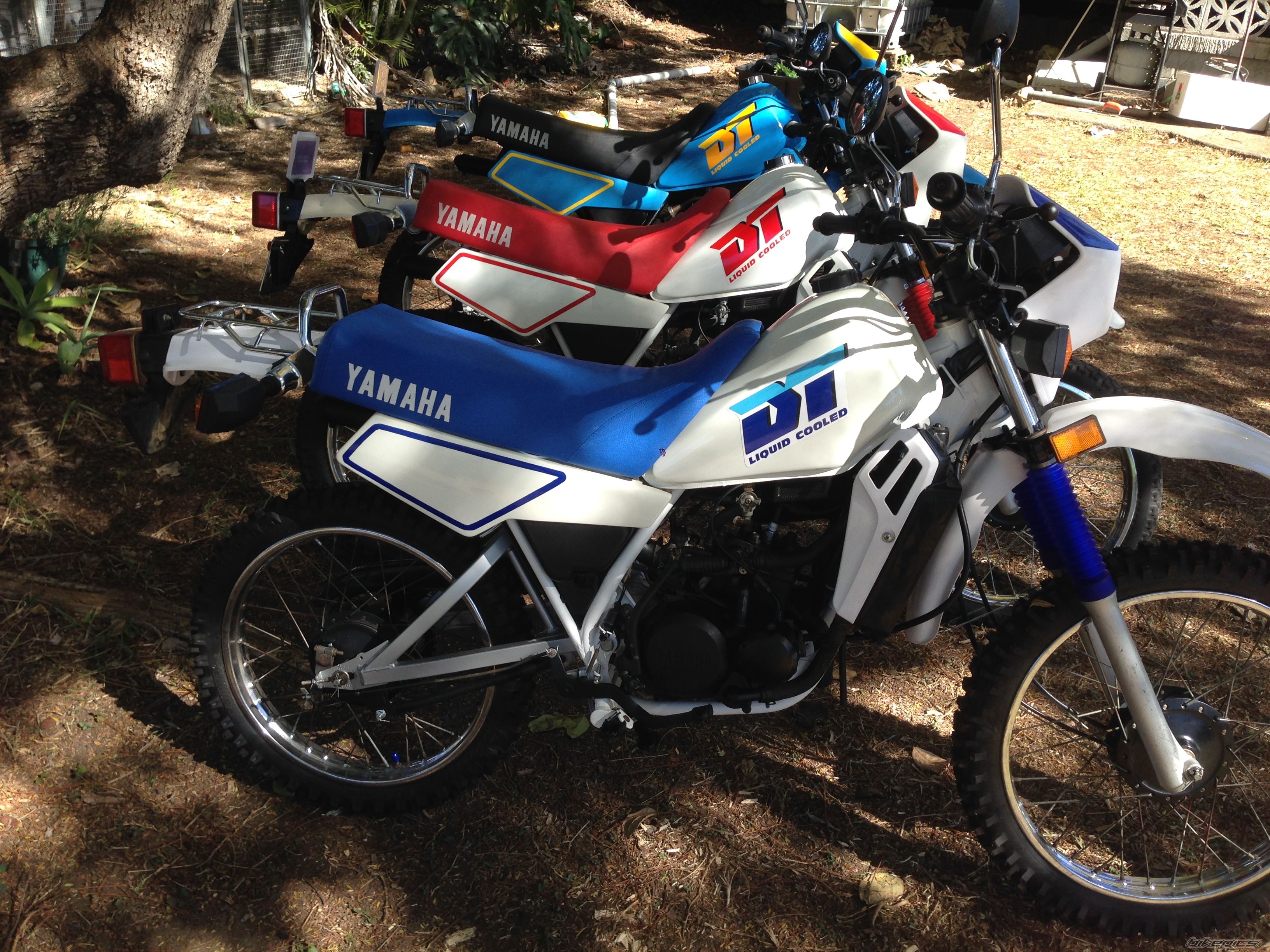 Photo 2683495