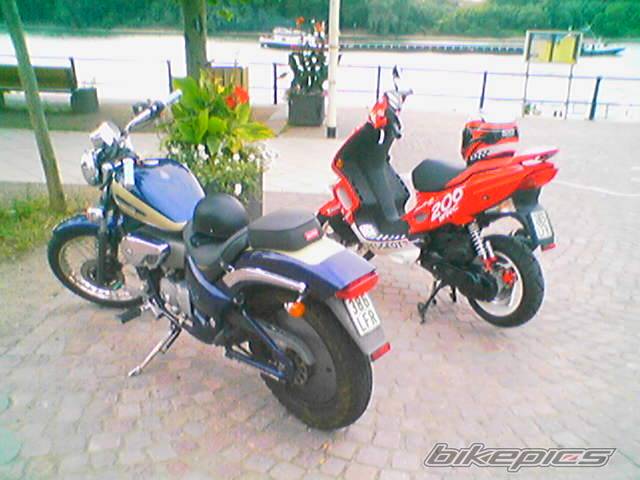 Photo 268353