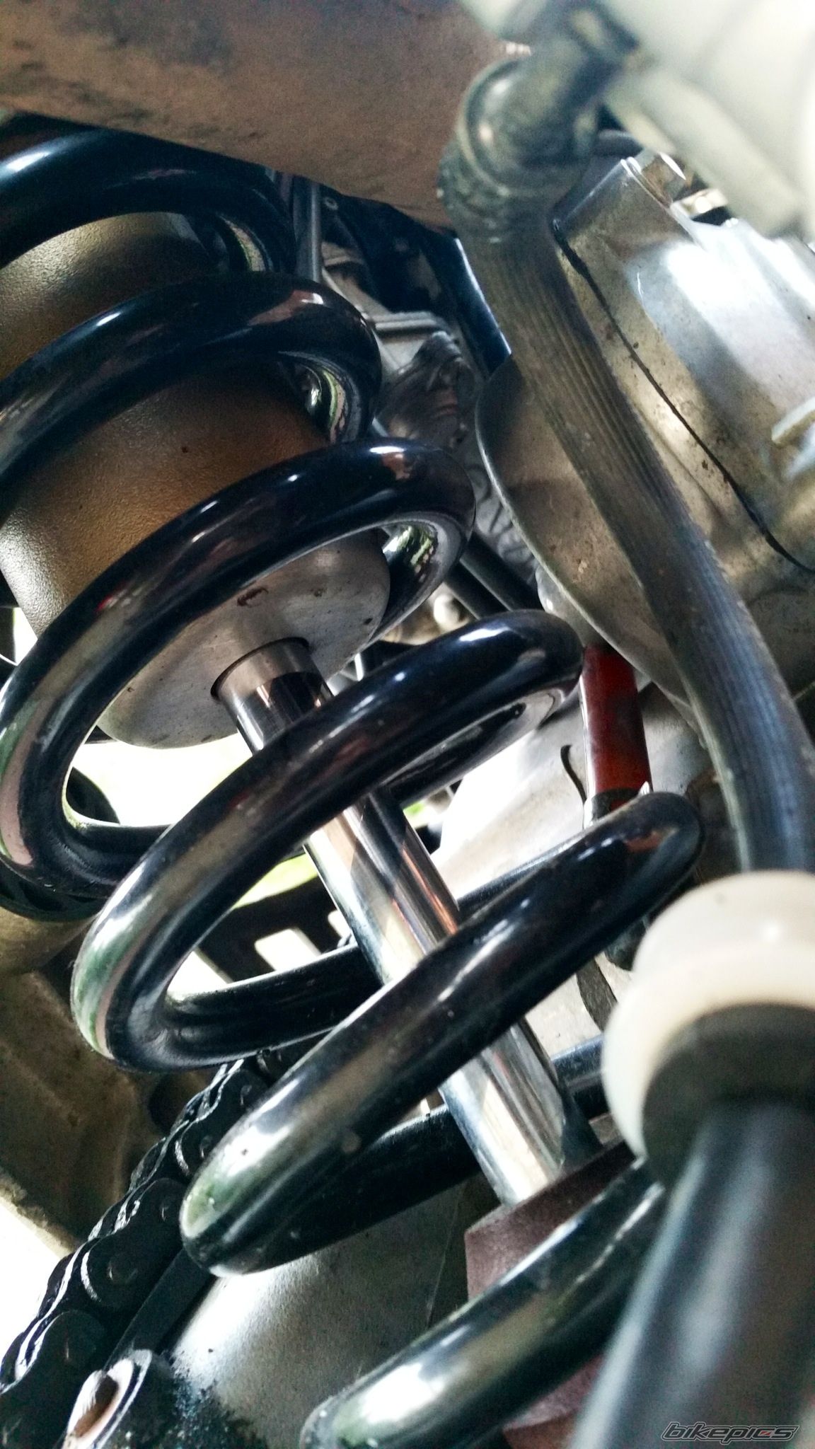 Photo 2683606