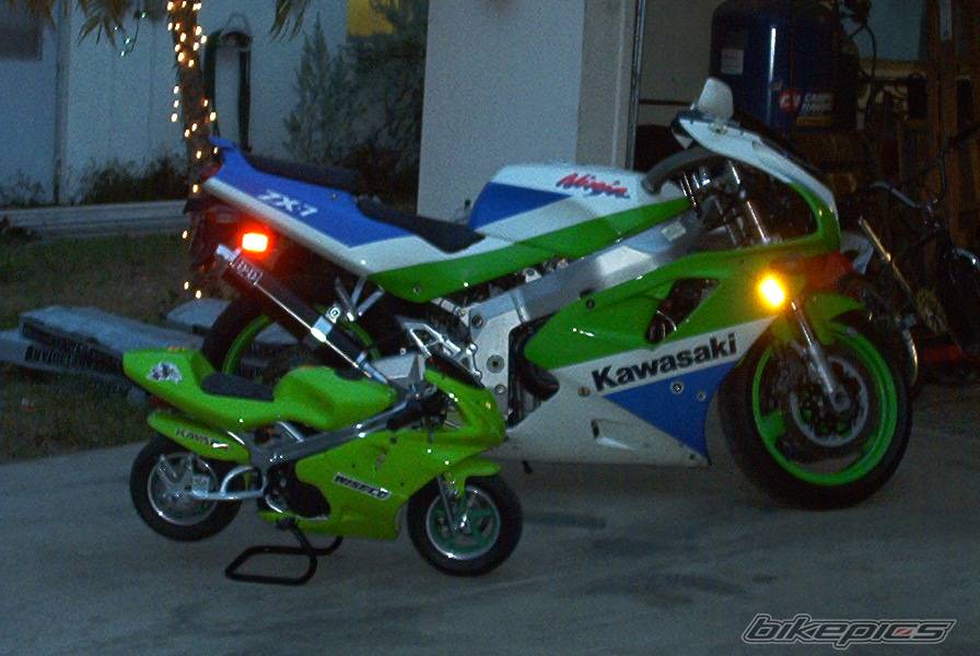 Photo 268366