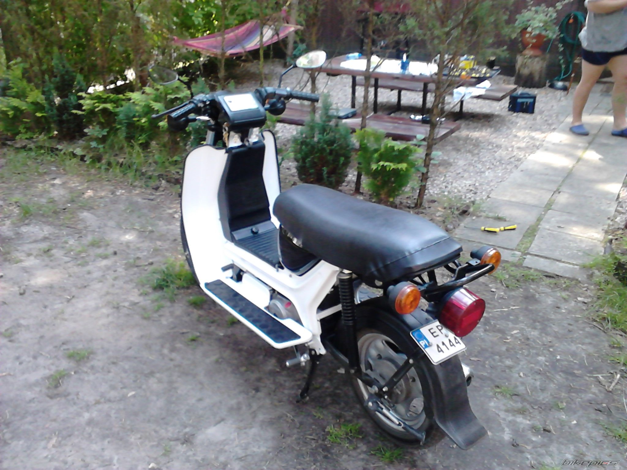 Photo 2683681