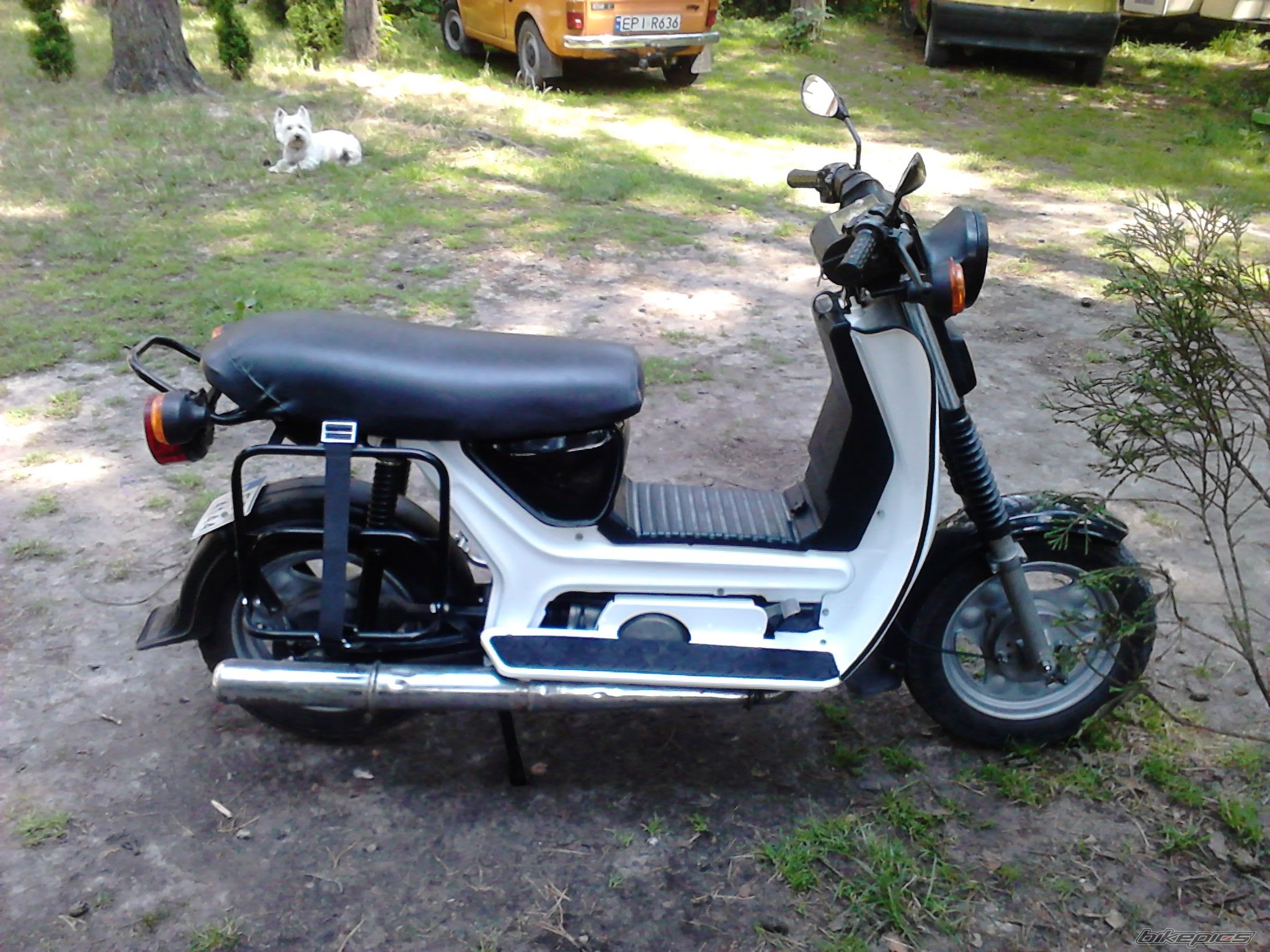 Photo 2683682
