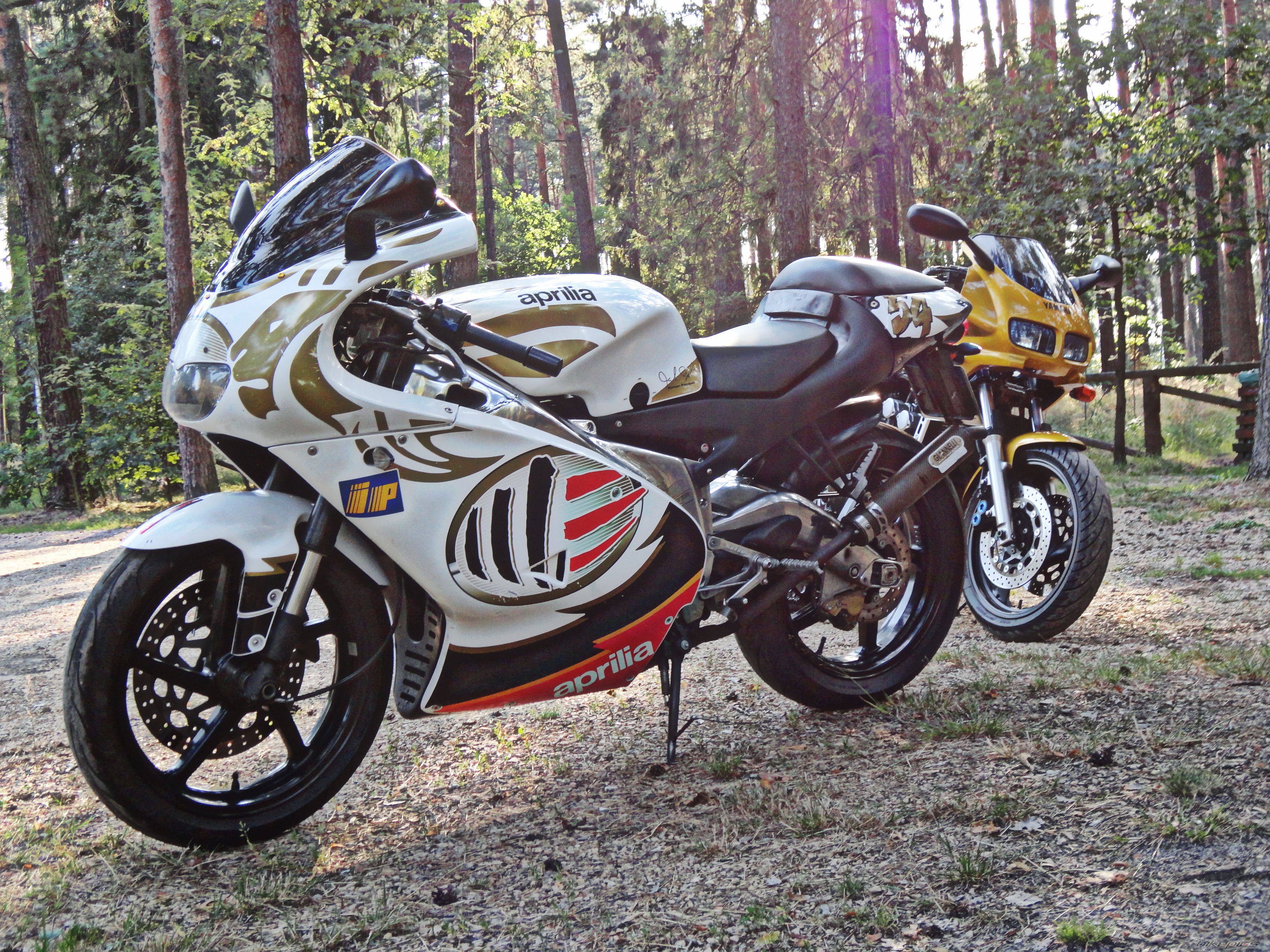 Photo 2683771
