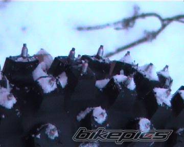 Photo 268387