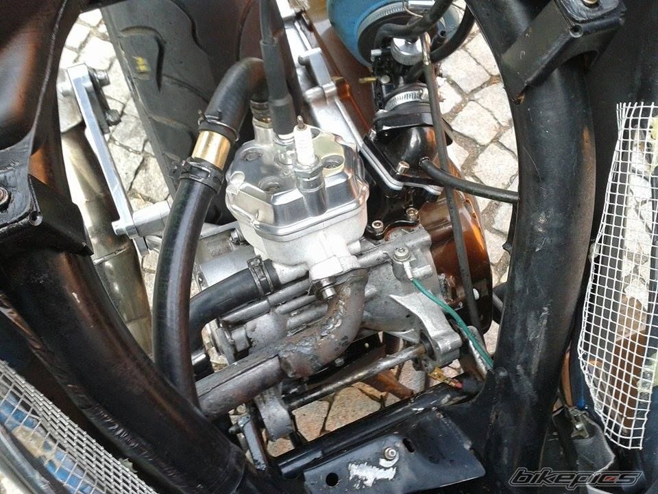 Photo 2683948