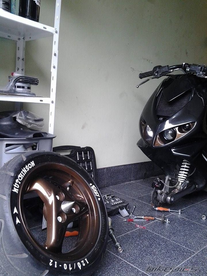 Photo 2683955