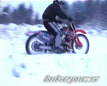 Photo 268398