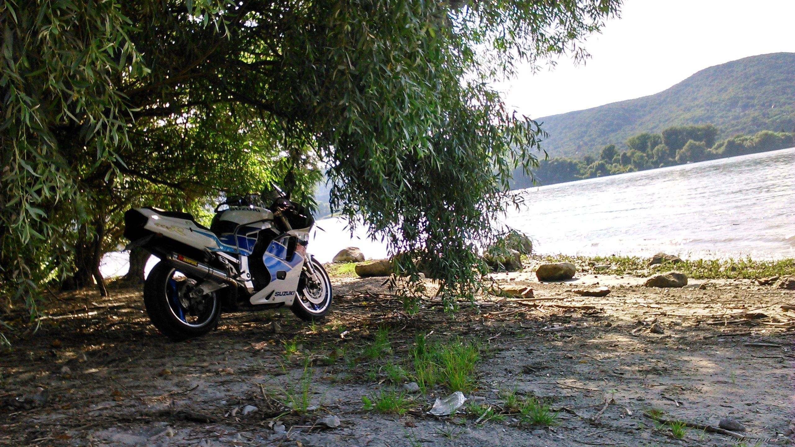 Photo 2684001