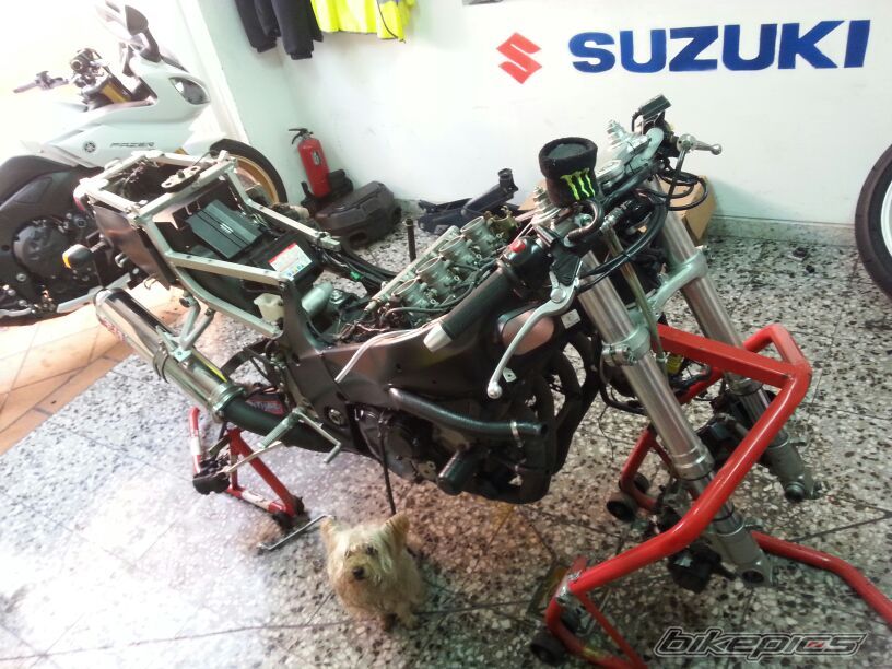 Photo 2684244