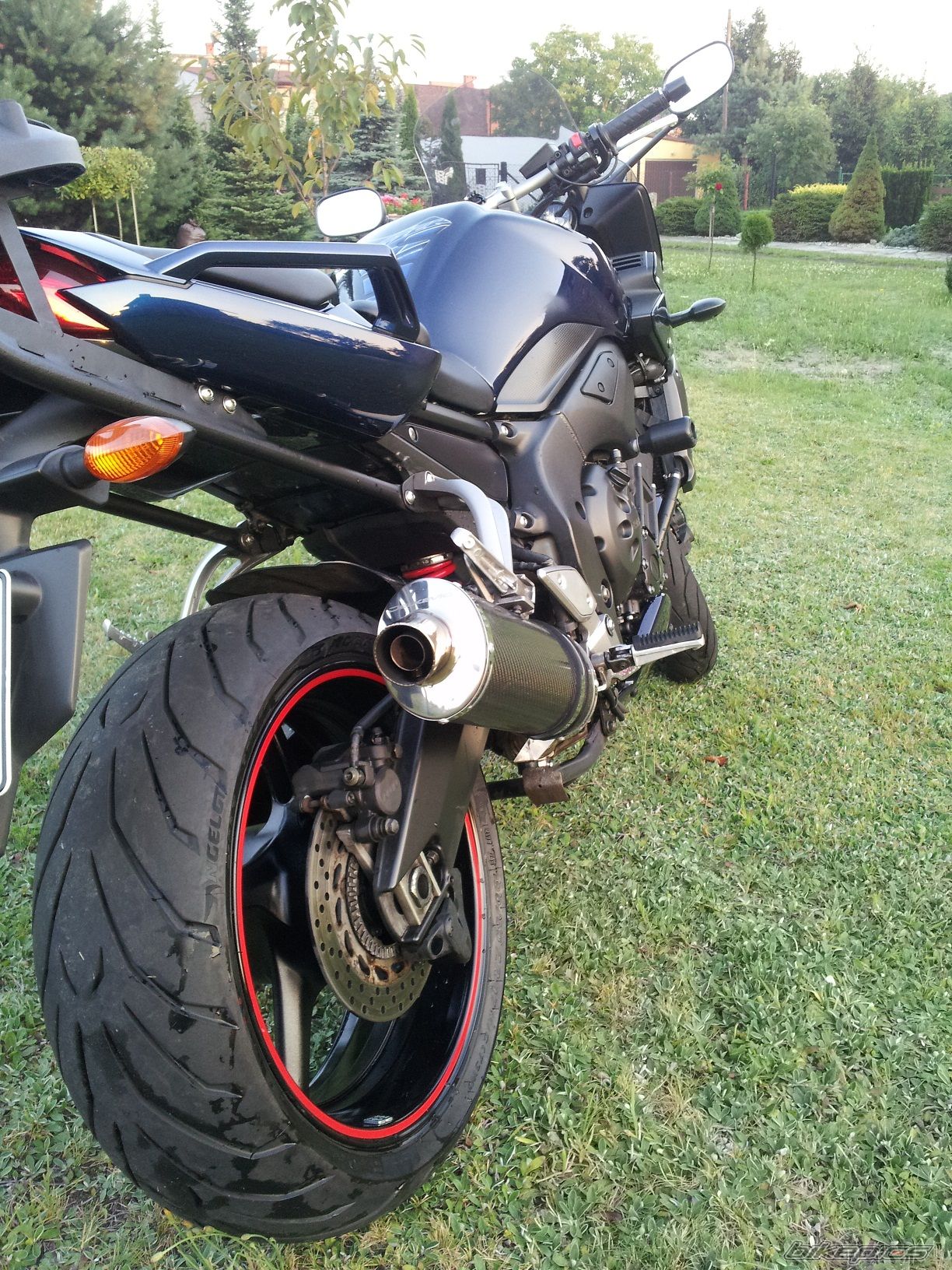 Photo 2684362