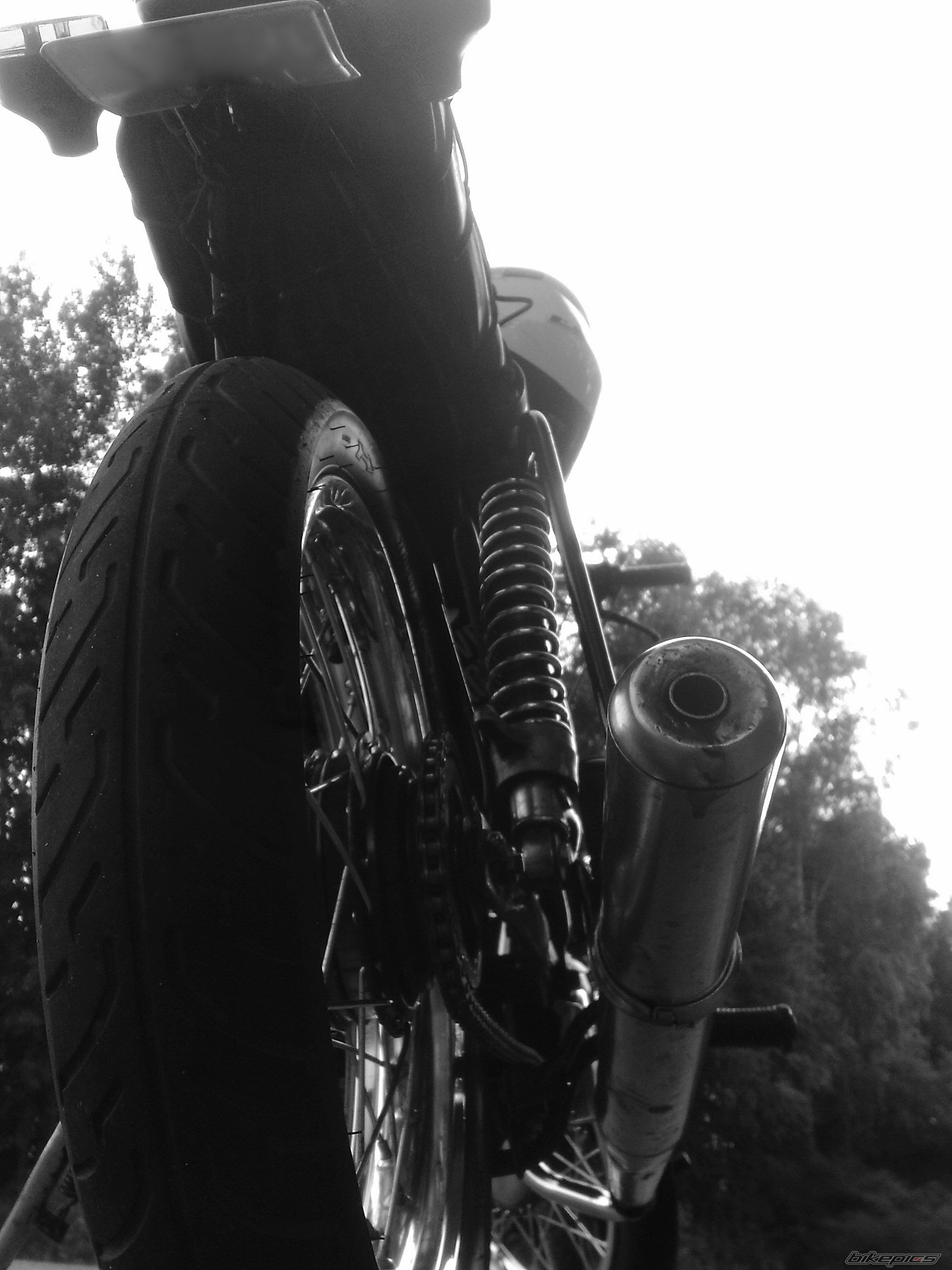 Photo 2684570