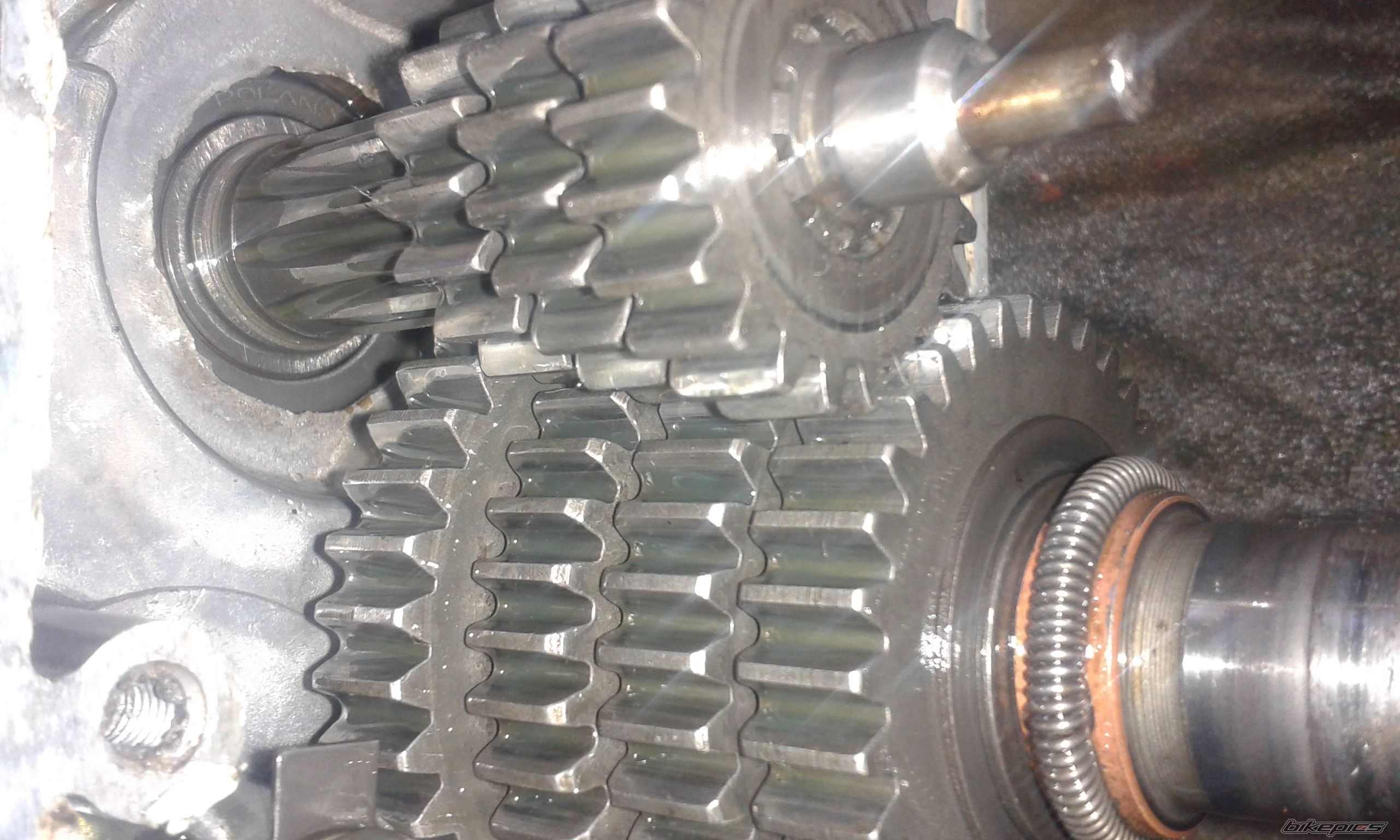 Photo 2684618