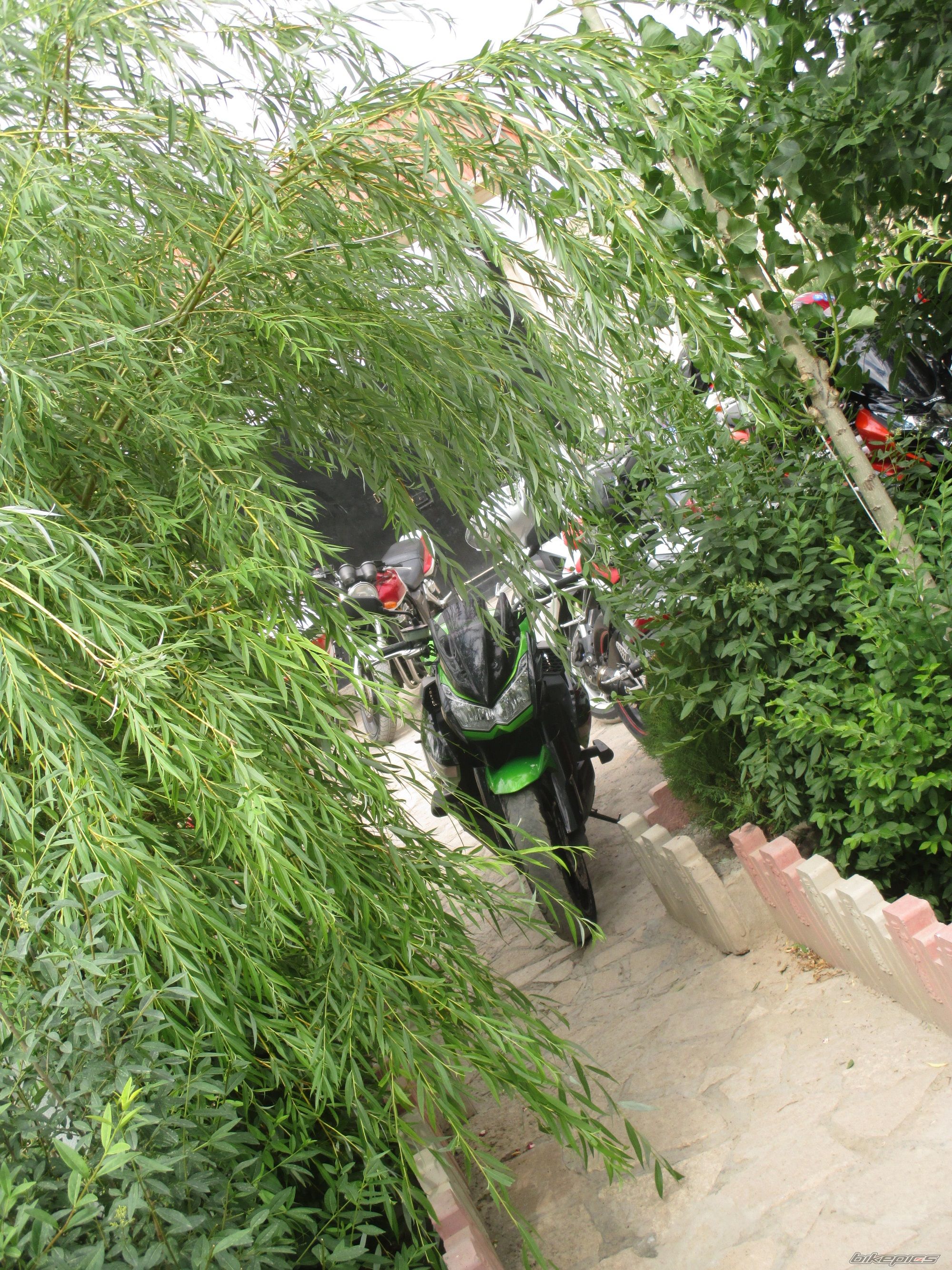 Photo 2684942