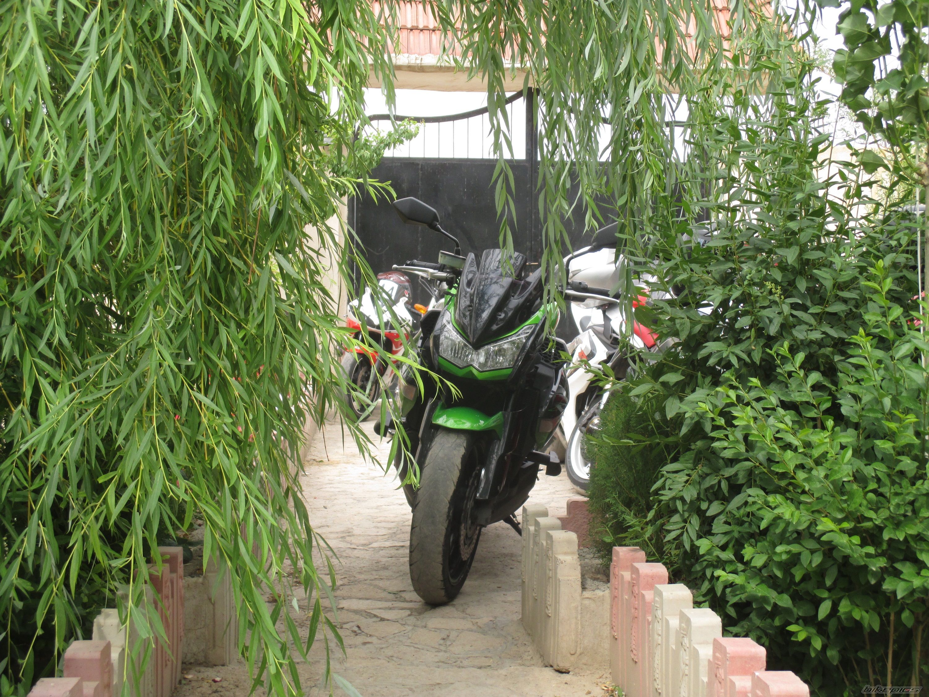 Photo 2684943