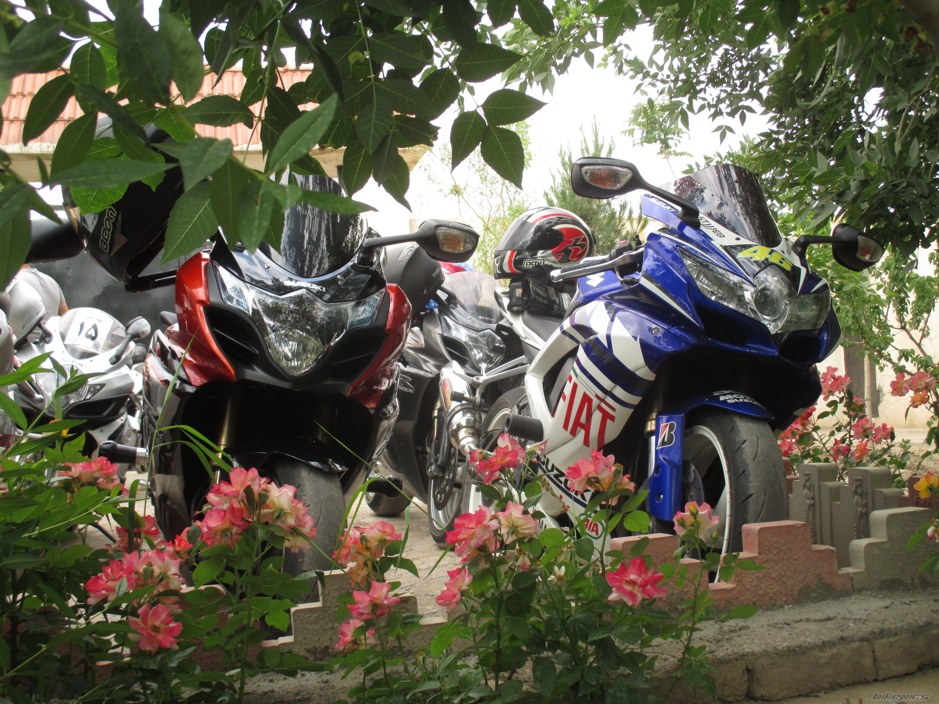 Photo 2685013