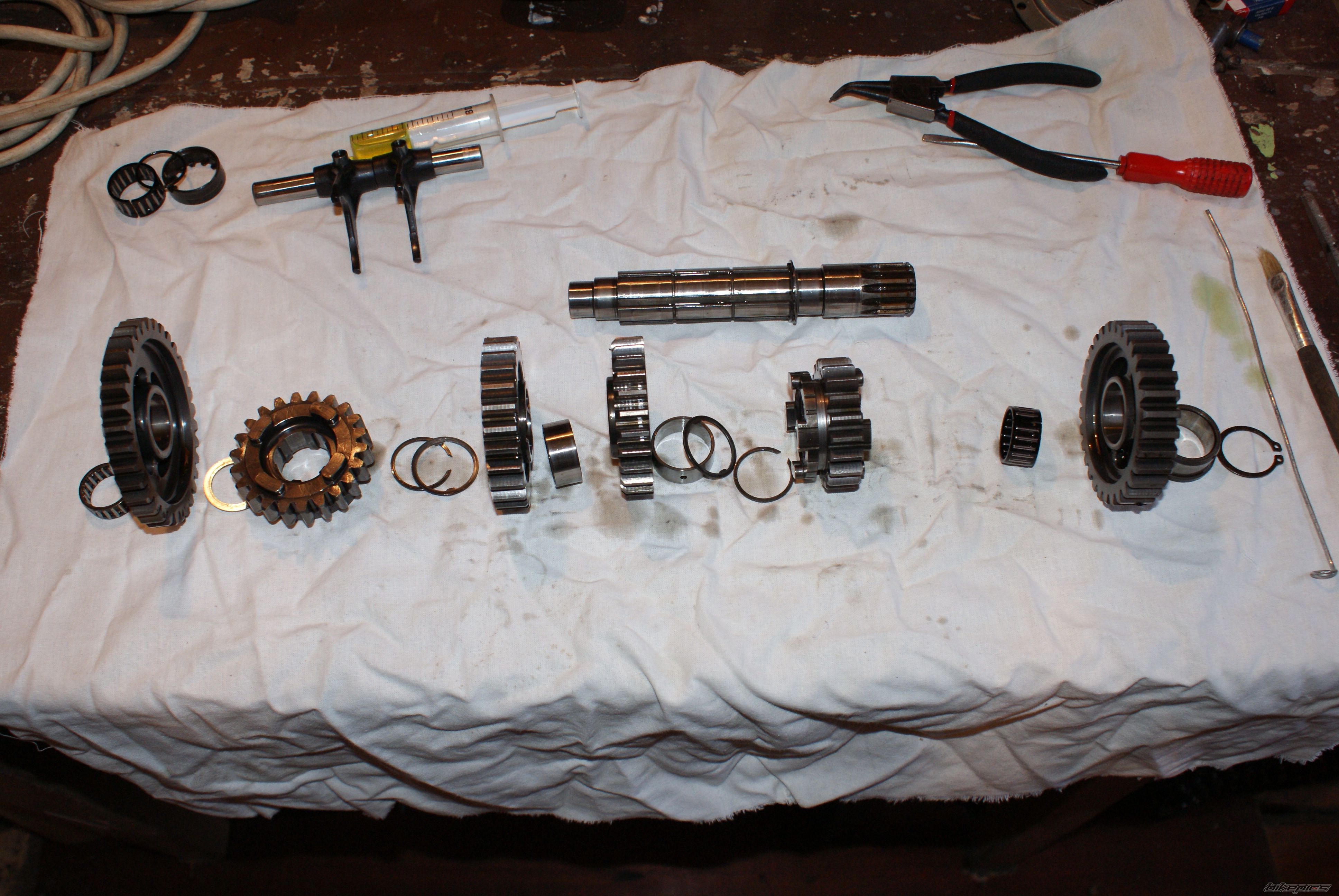 Photo 2685078