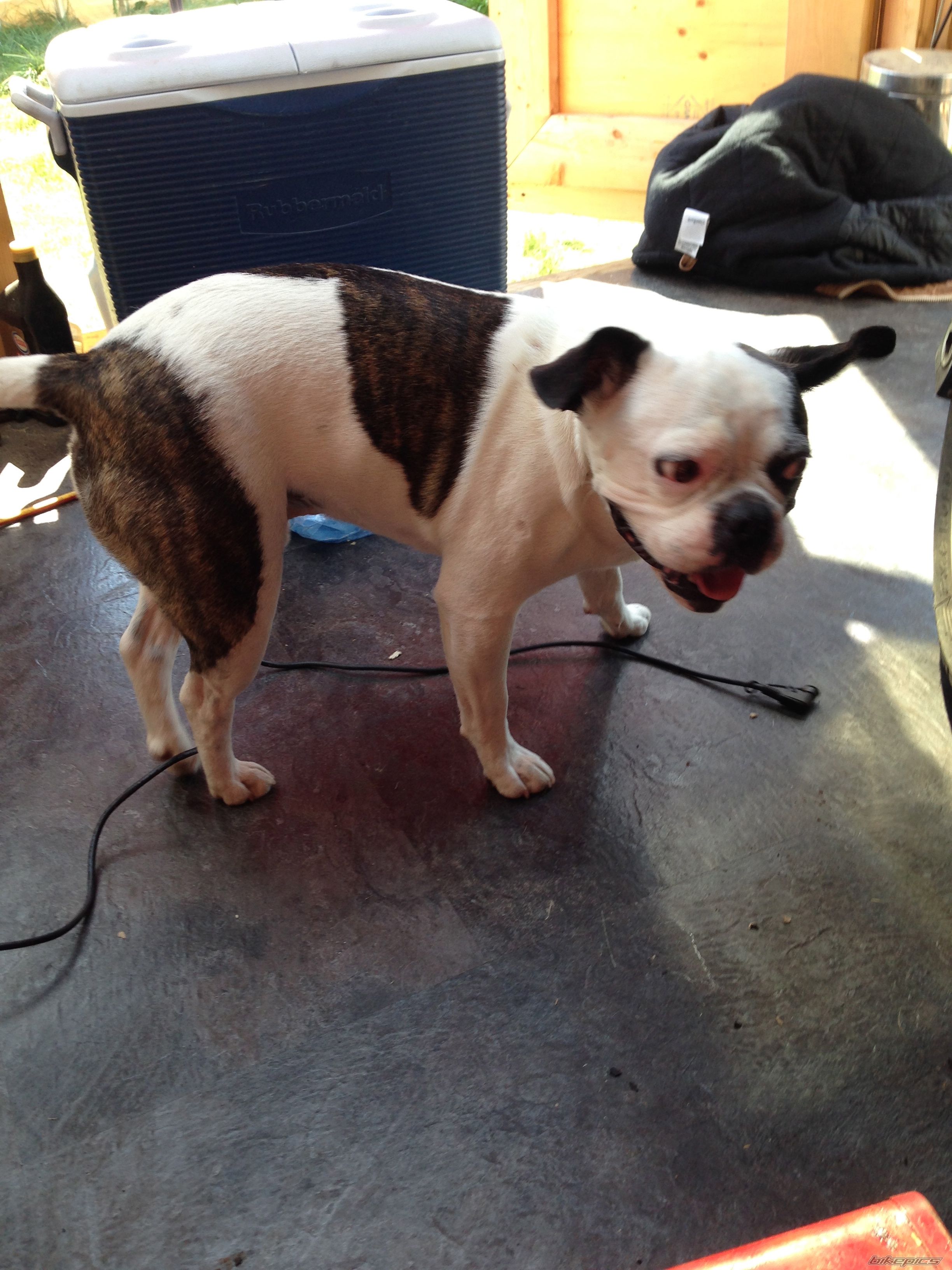 Photo 2685258