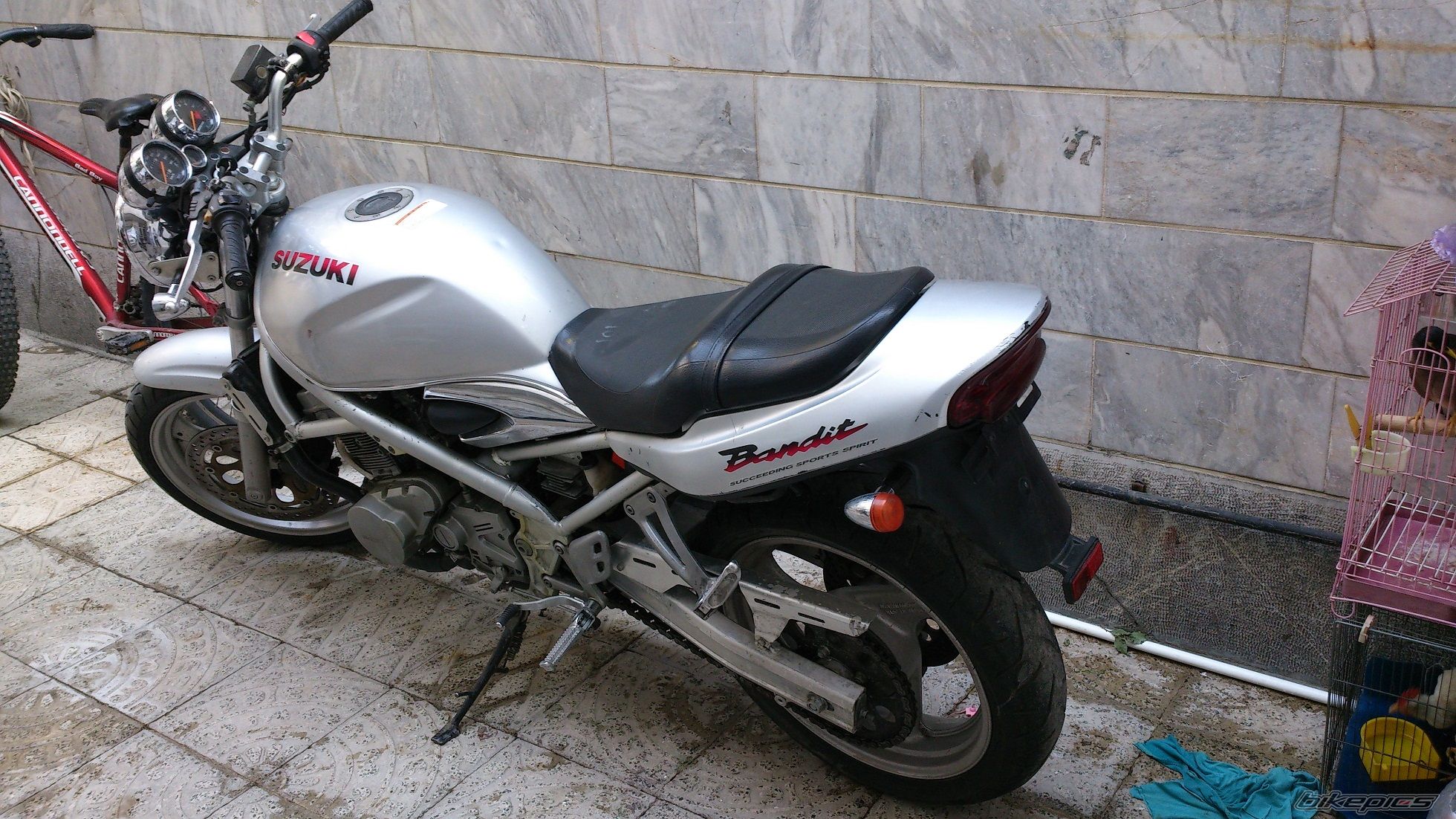 Photo 2685284