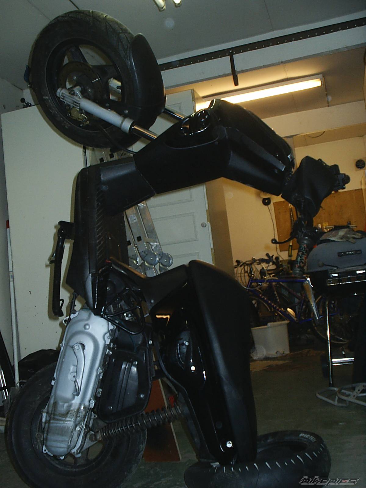 Photo 268549