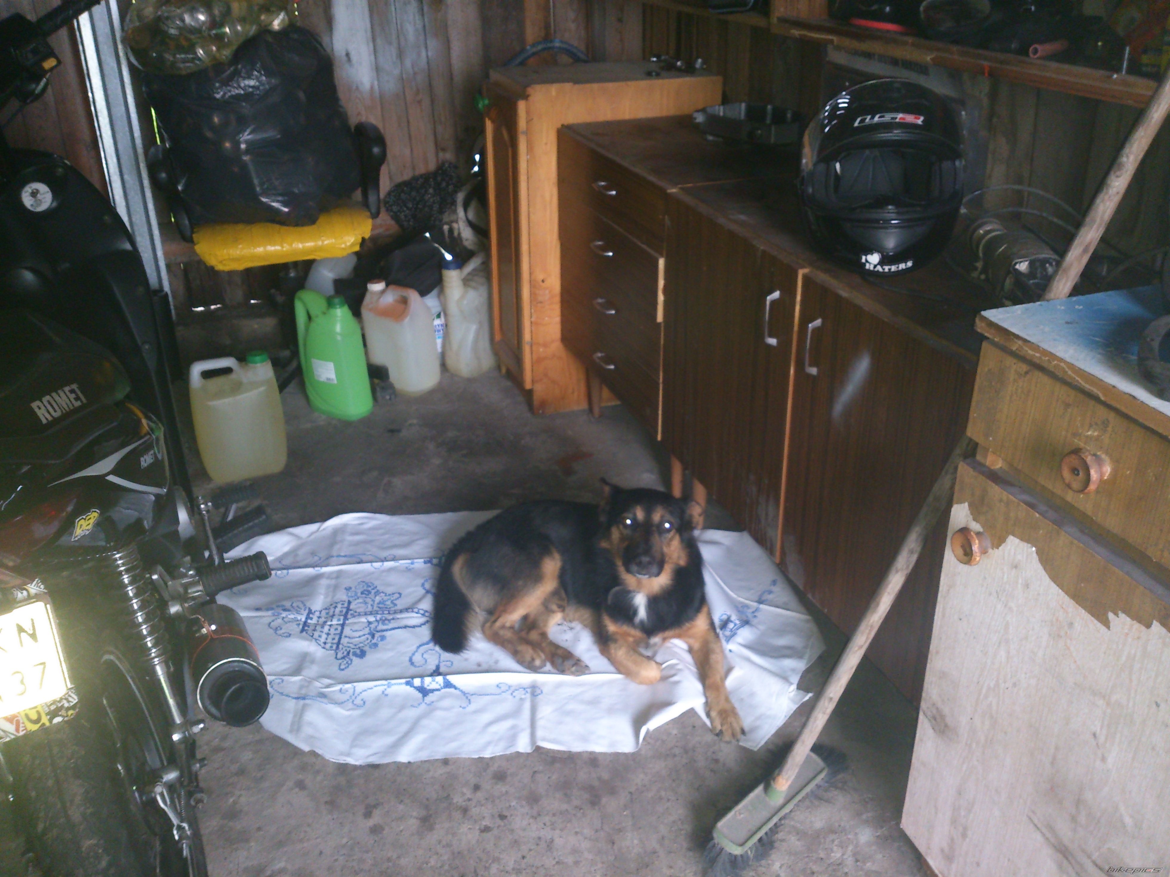 Photo 2685521